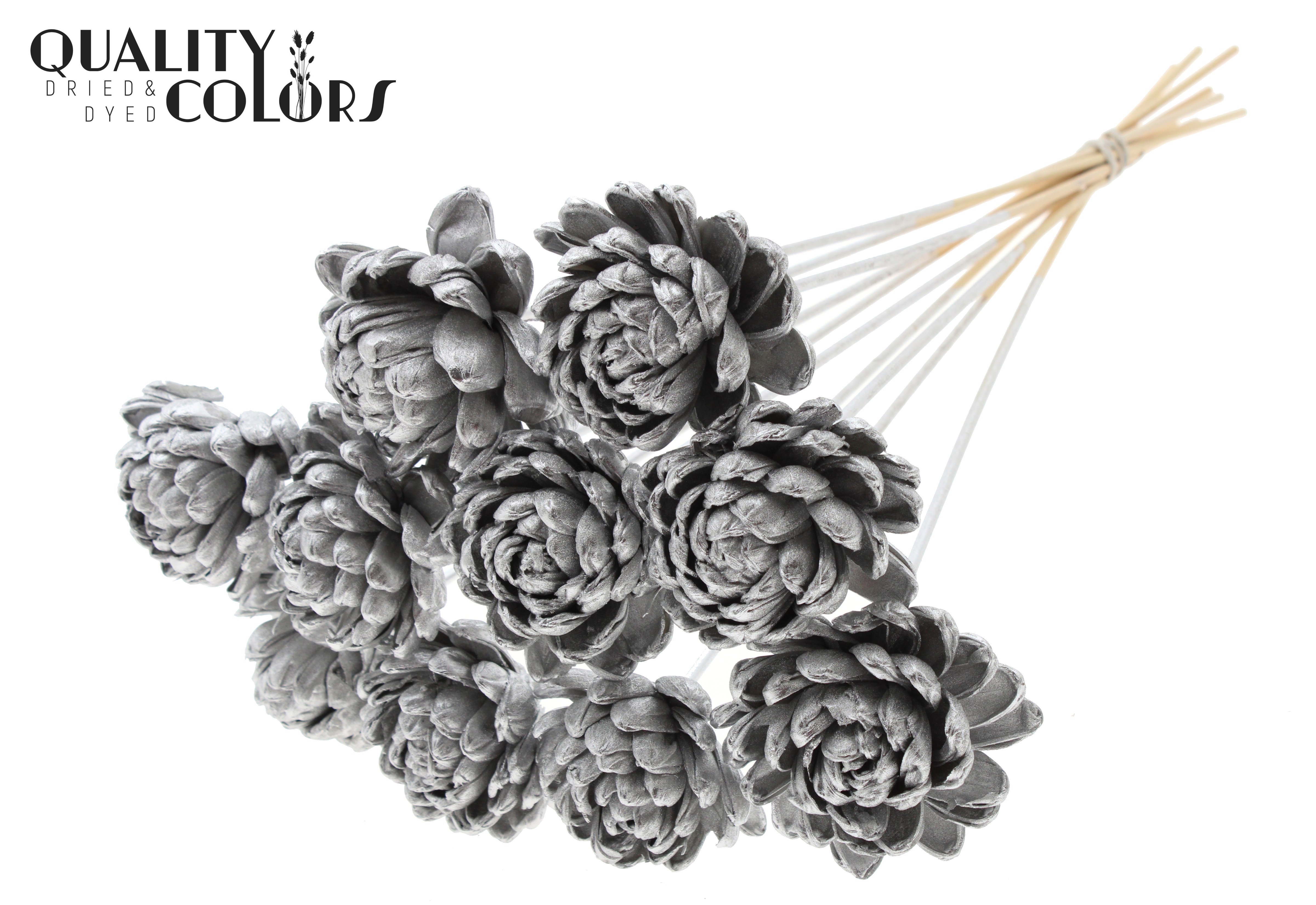 Shola Beauty Rose Silver 50cm