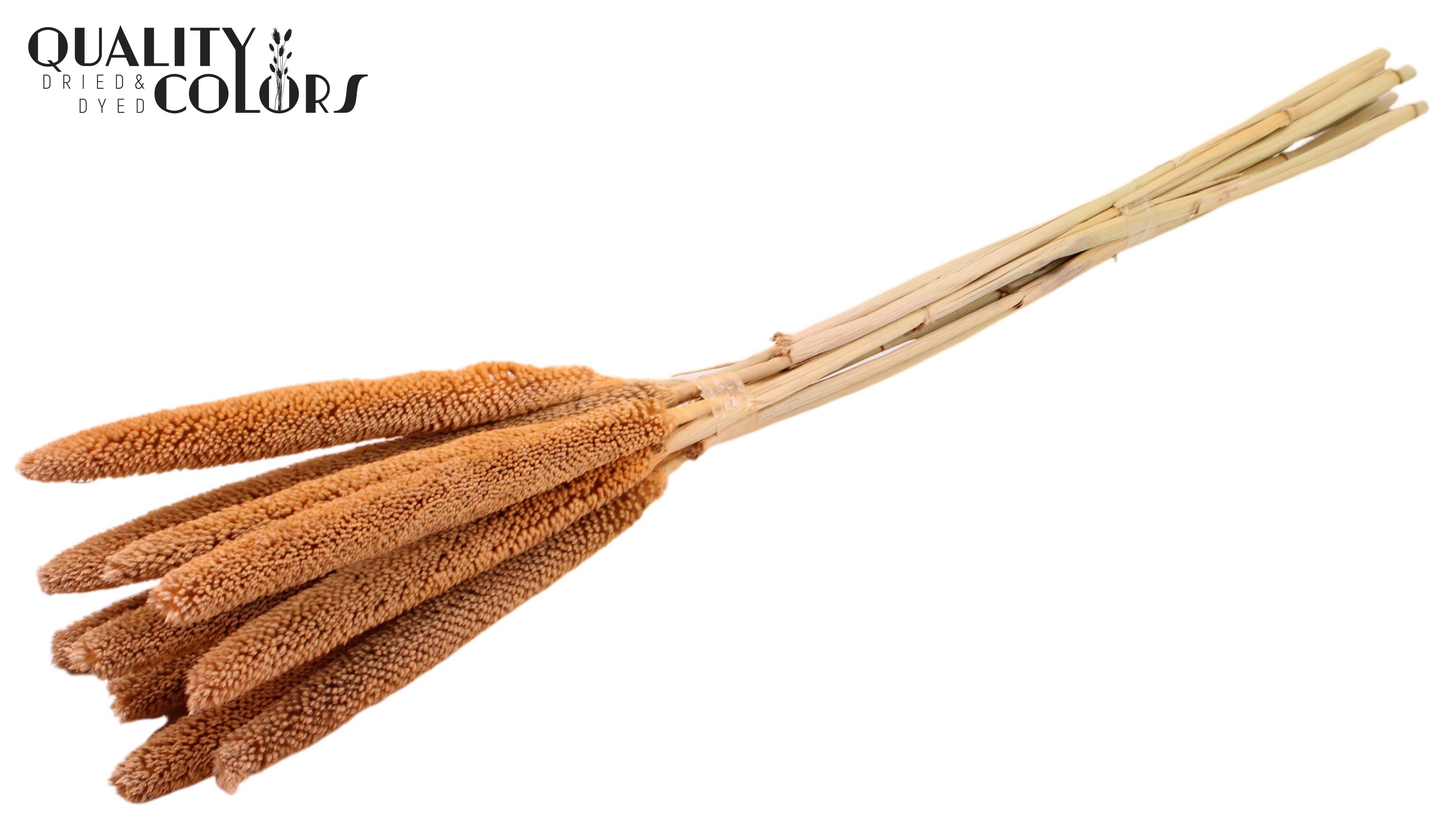 Babala Frosted Salmon 65cm