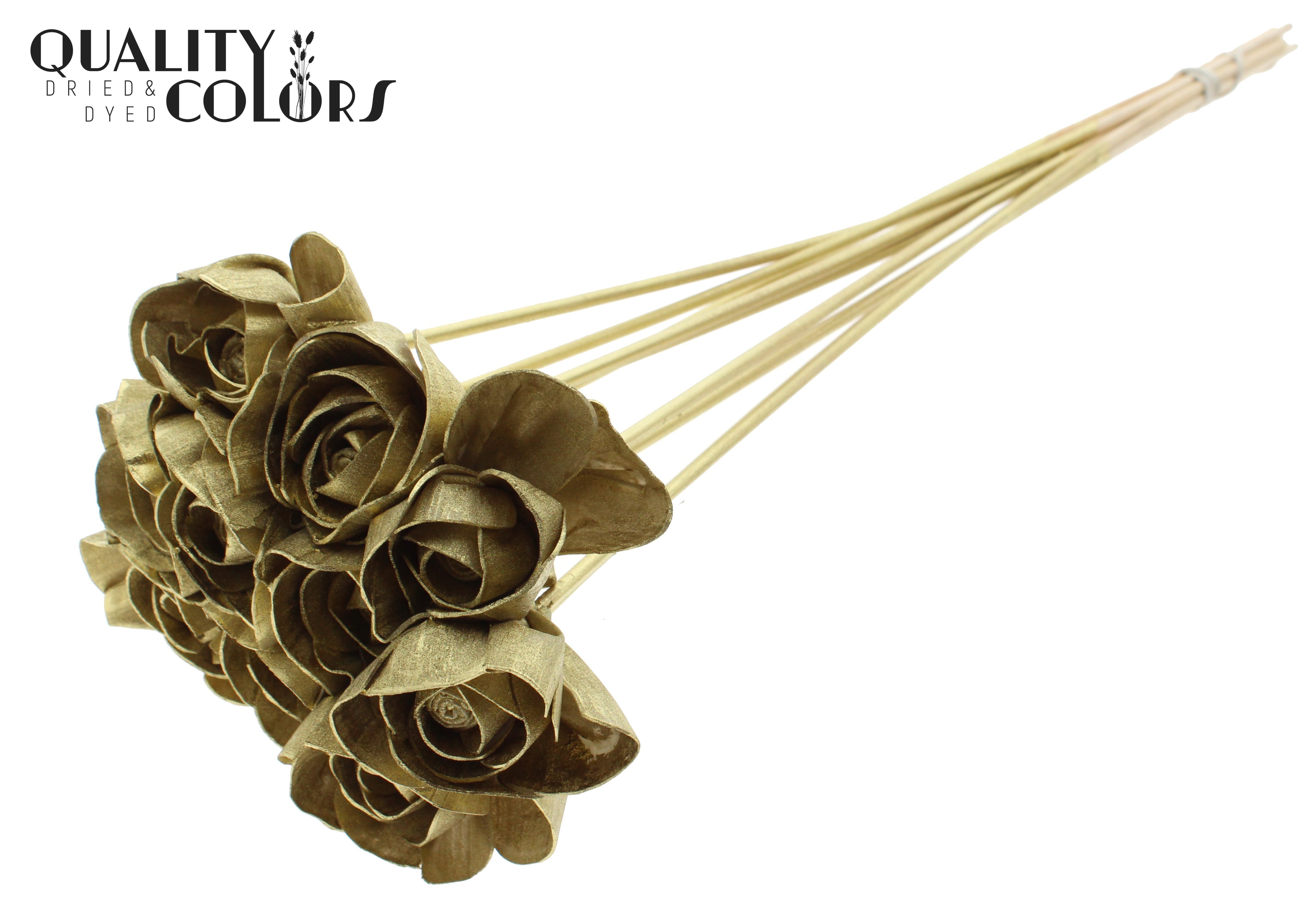 Shola Dear Holly Gold 50cm