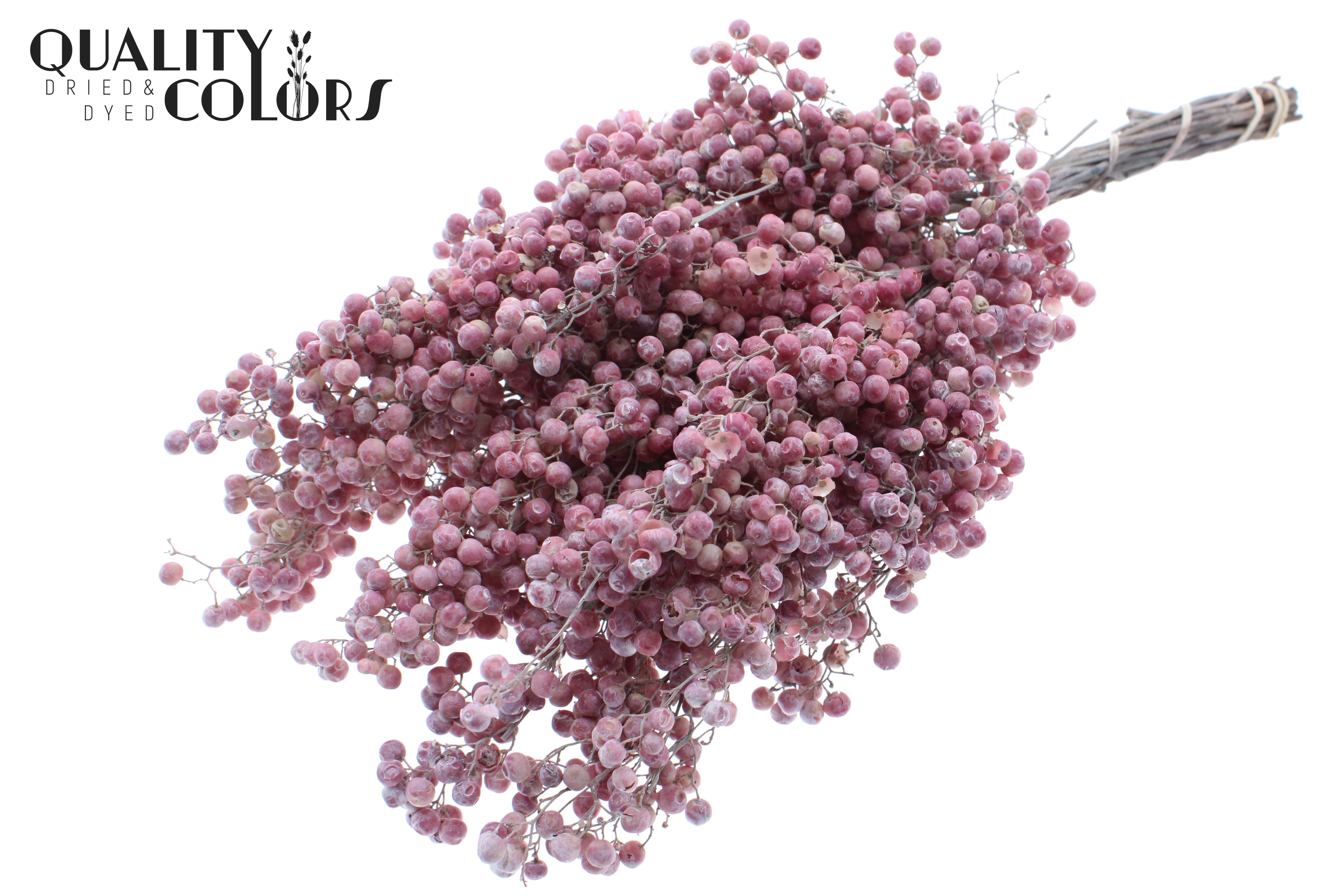 Schinus Mollis Frosted White Per Bunch