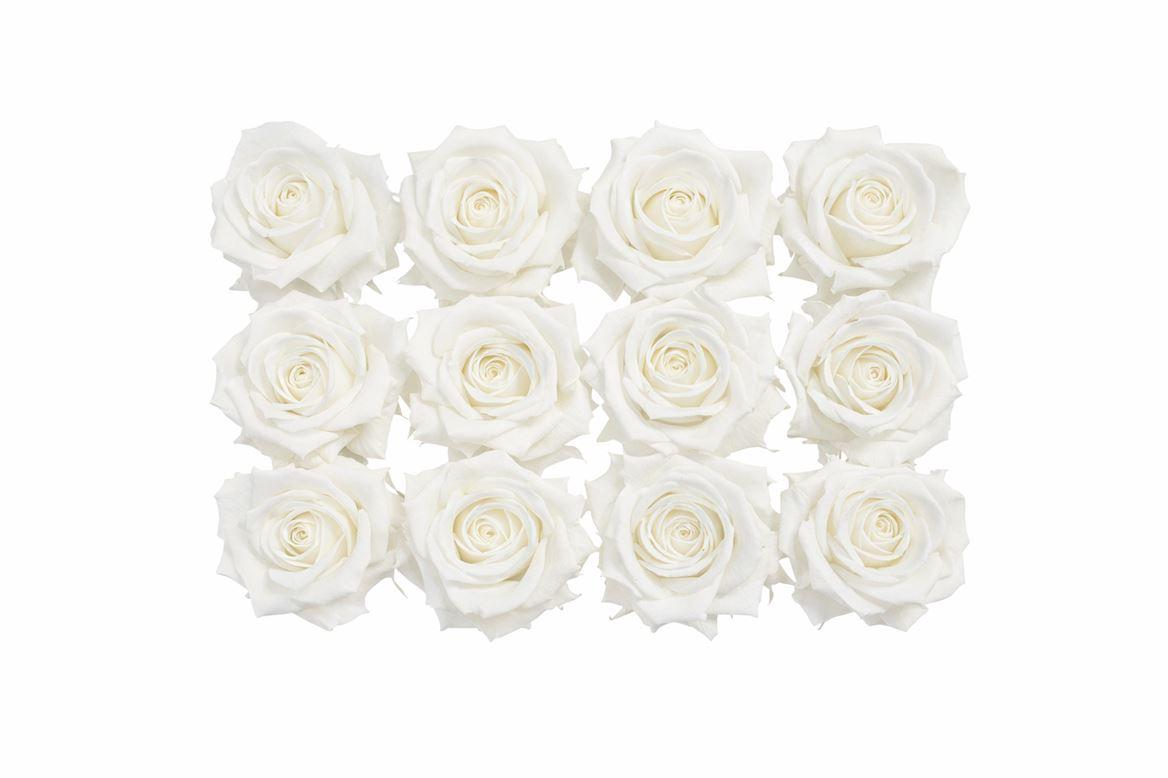 Ro Pres Mini White
