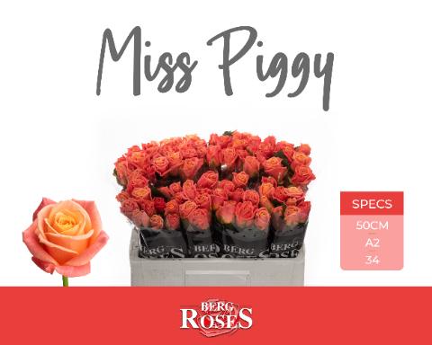 Rosa Miss Piggy 50cm