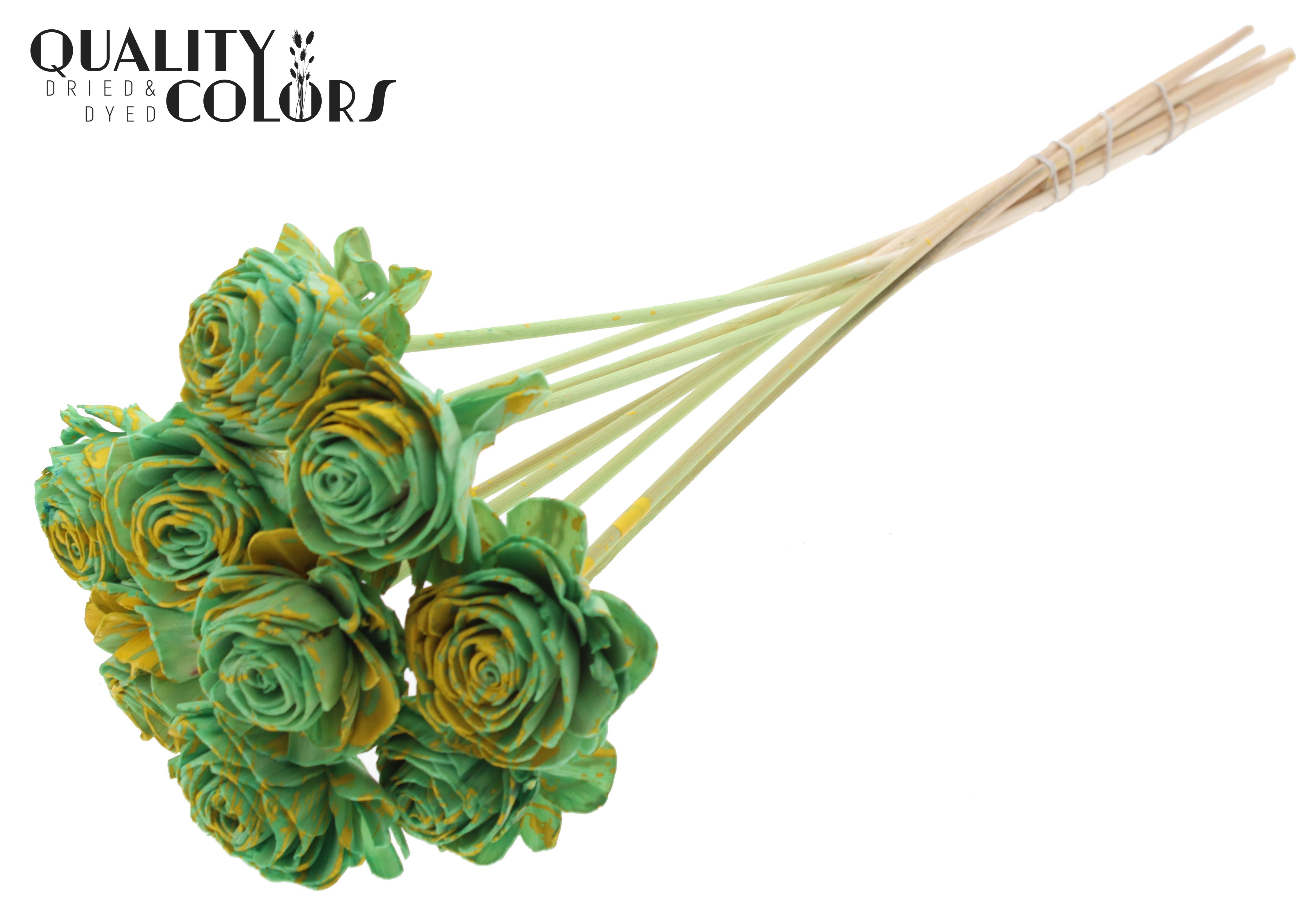 Shola Beauty Rose Splashed Mint Yellow 50cm