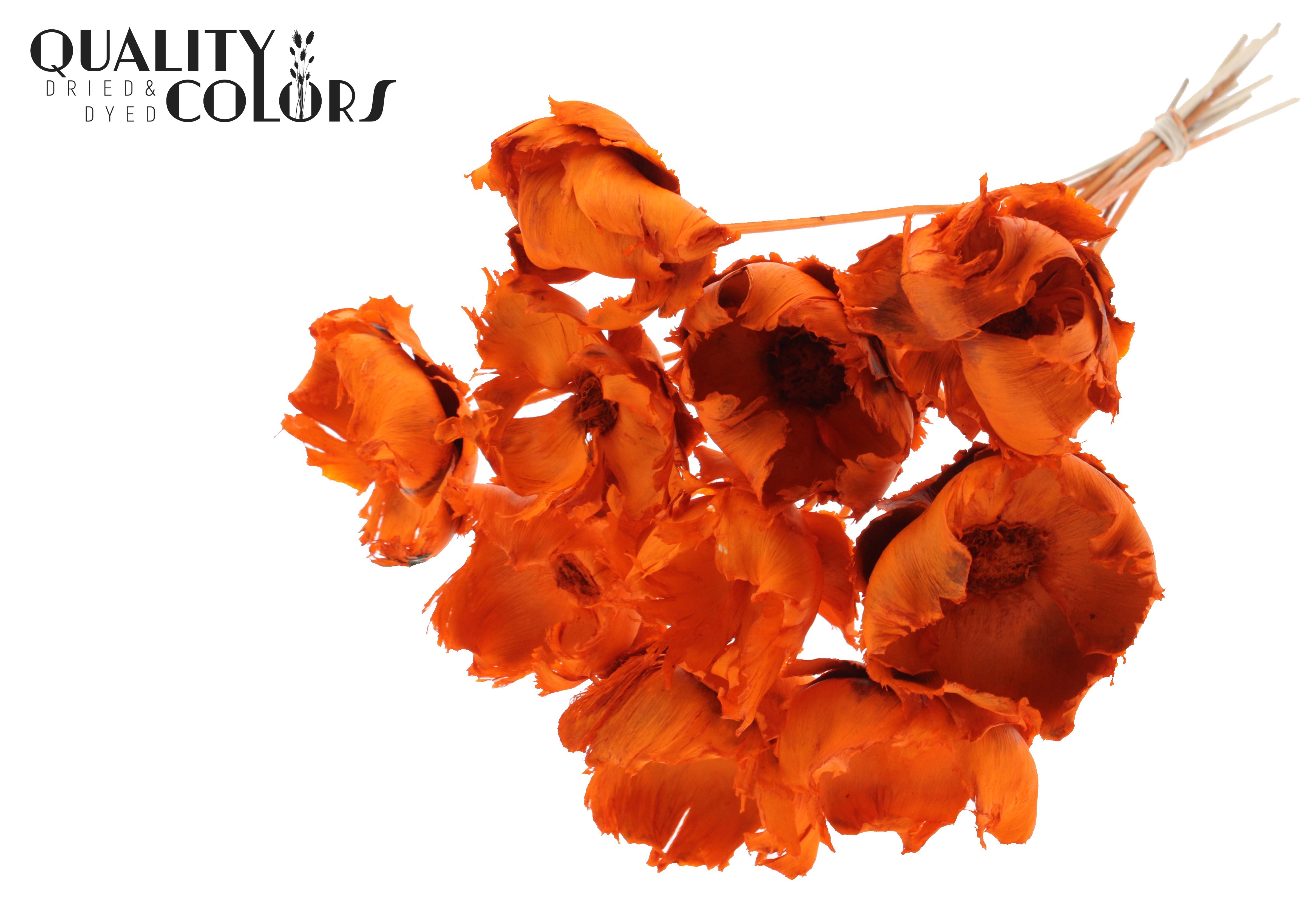 Palm Cup Intense Orange 50cm