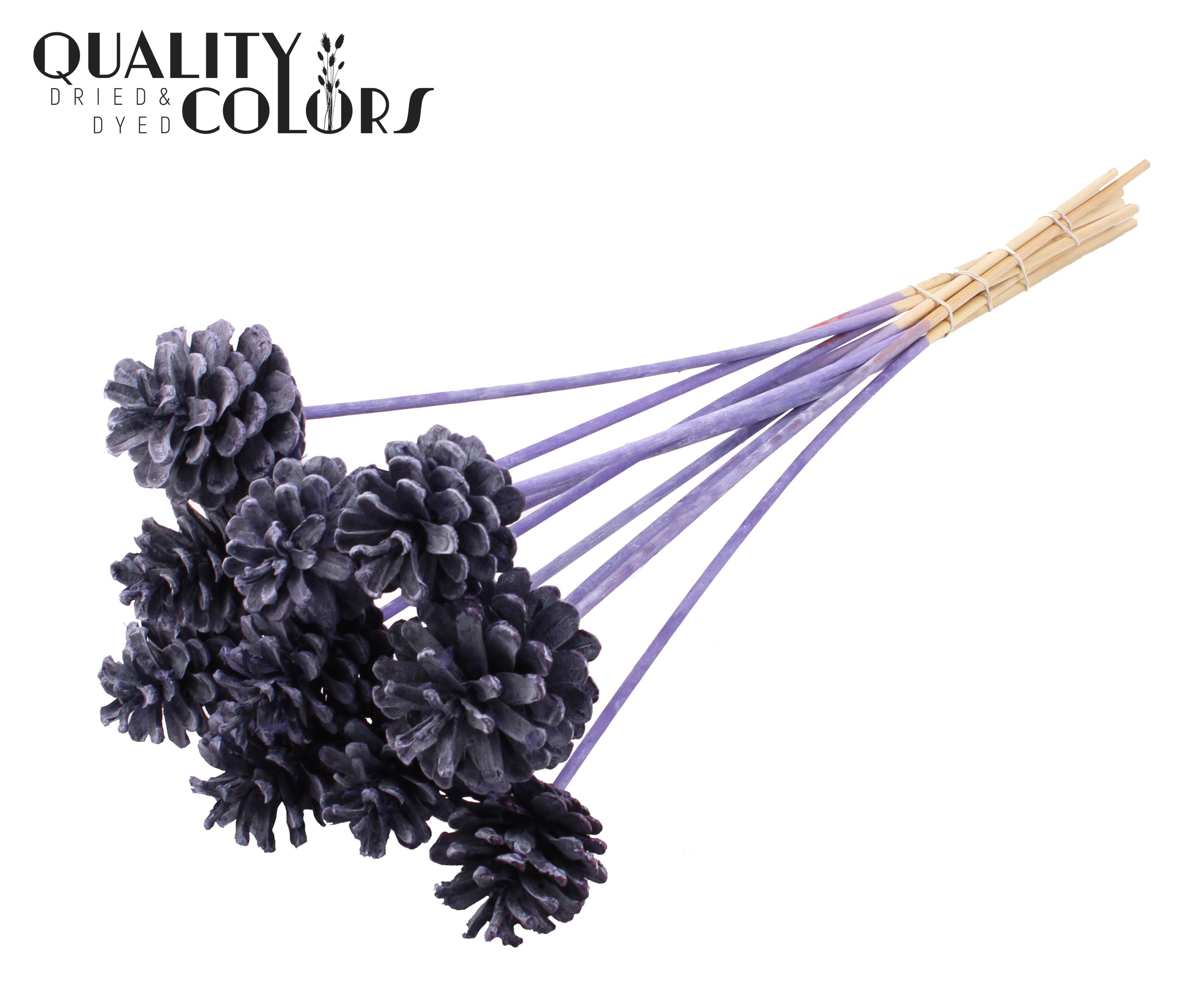 Pine Cone Frosted Purple 50cm