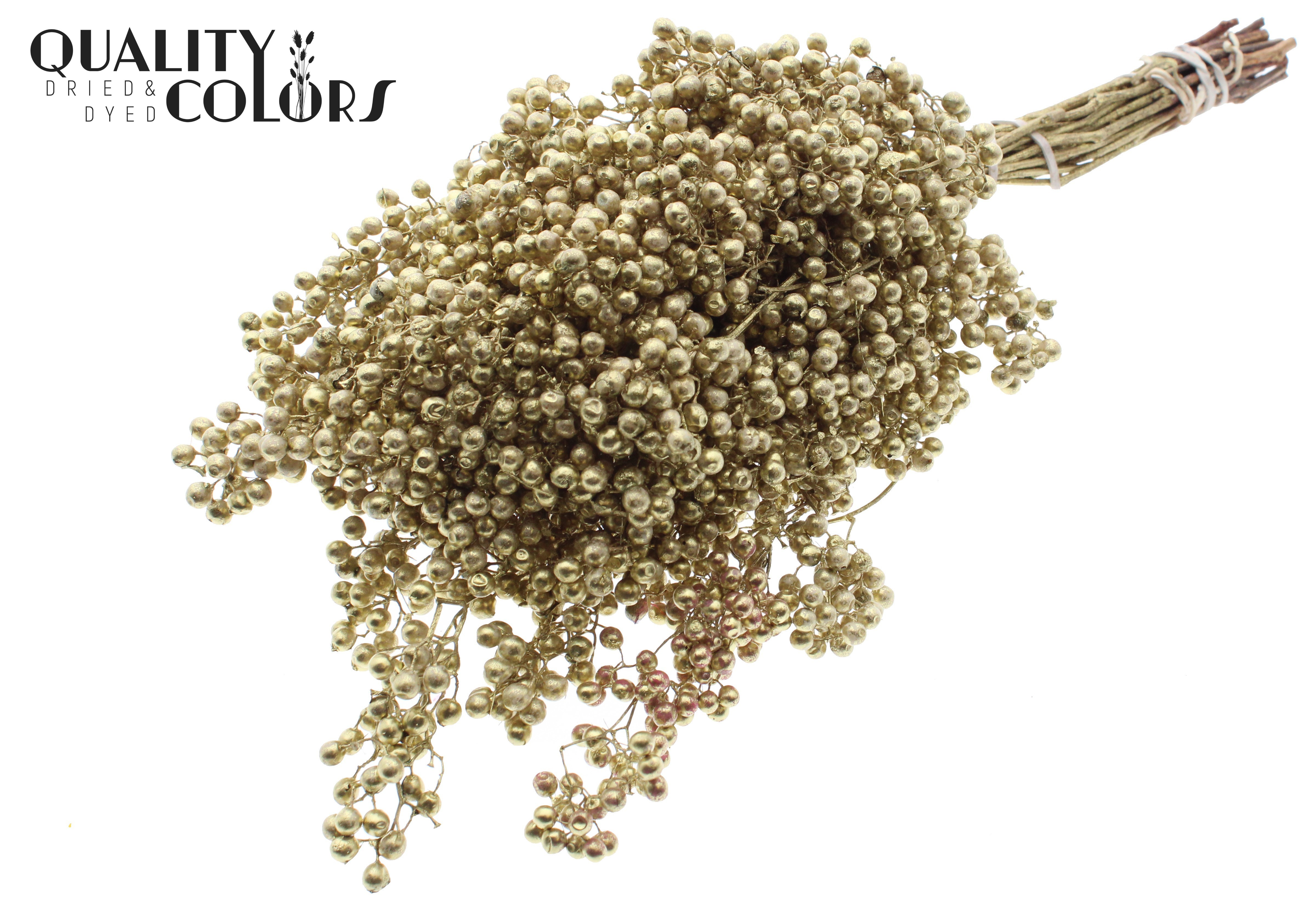 Schinus Mollis Gold Per Bunch