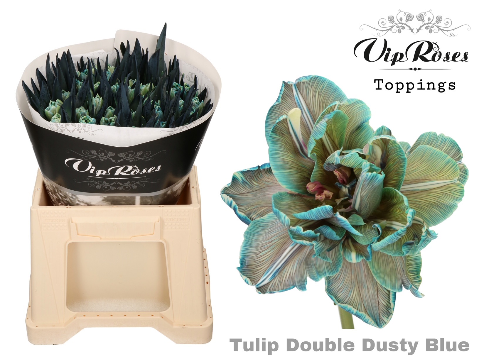 Tu Du Double Dusty Blue 38 cm