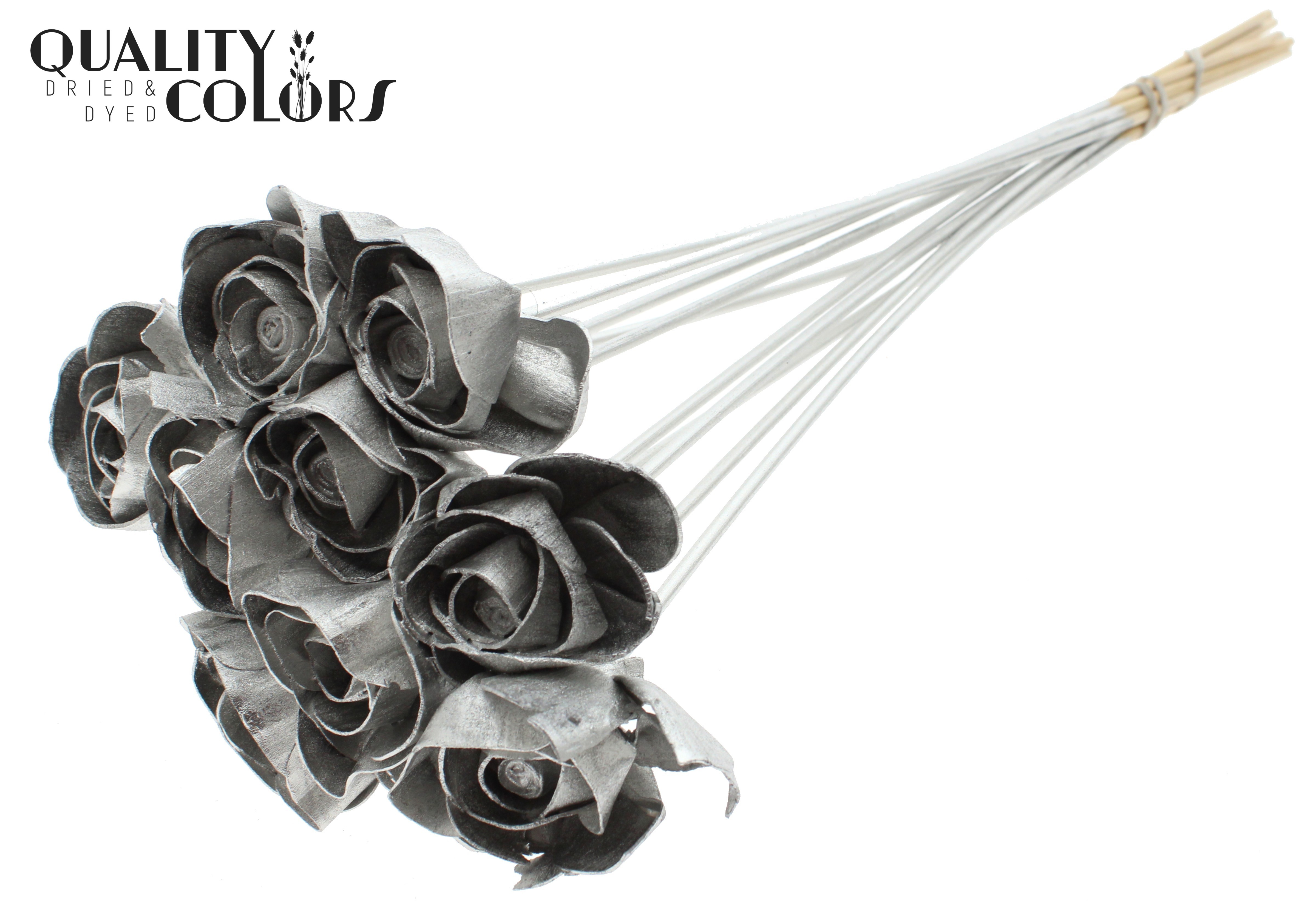 Shola Dear Holly Platinum 50cm
