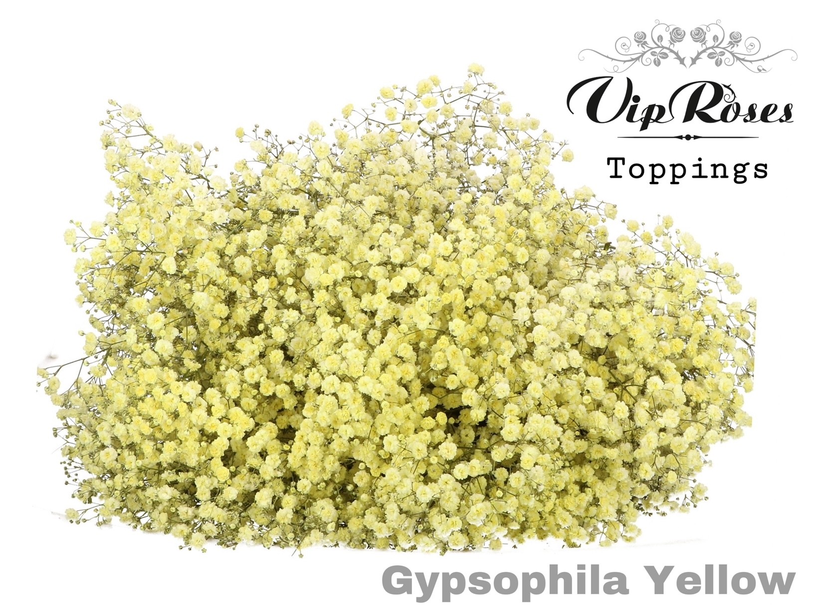 Gyps Pa Yellow 80 cm