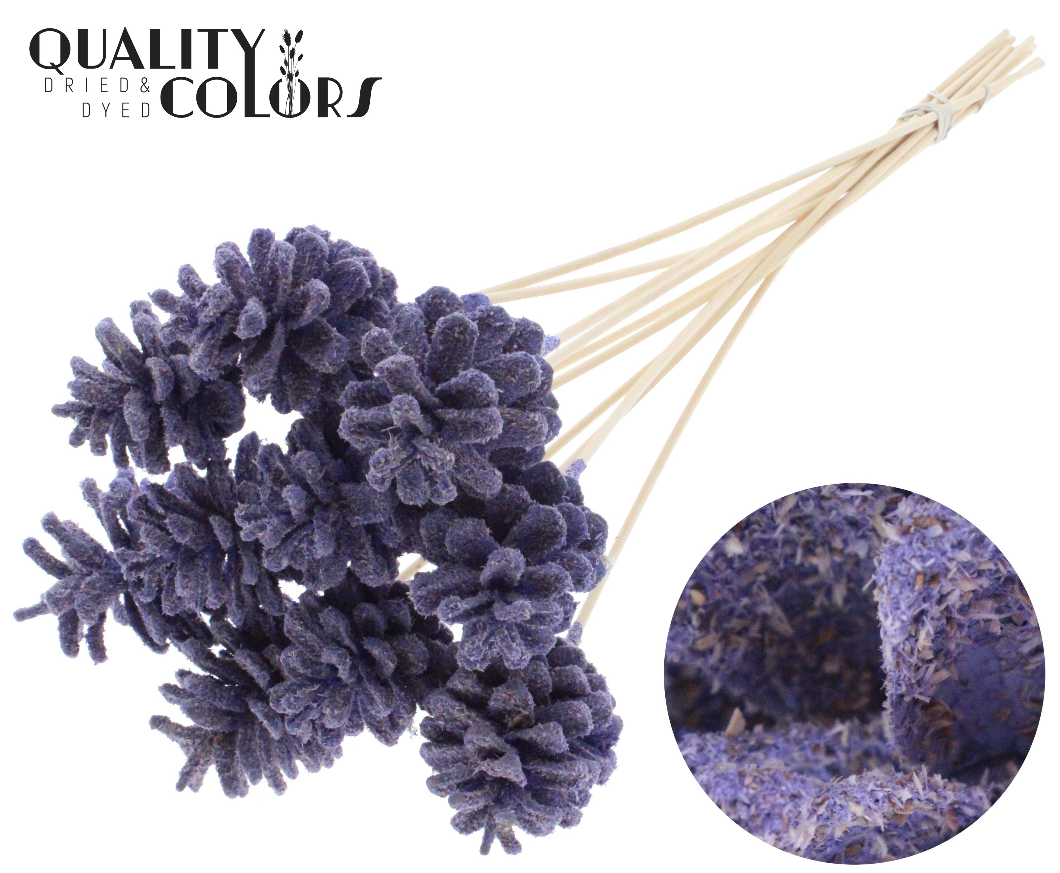 Pine Cone Sawdust Milka 50cm