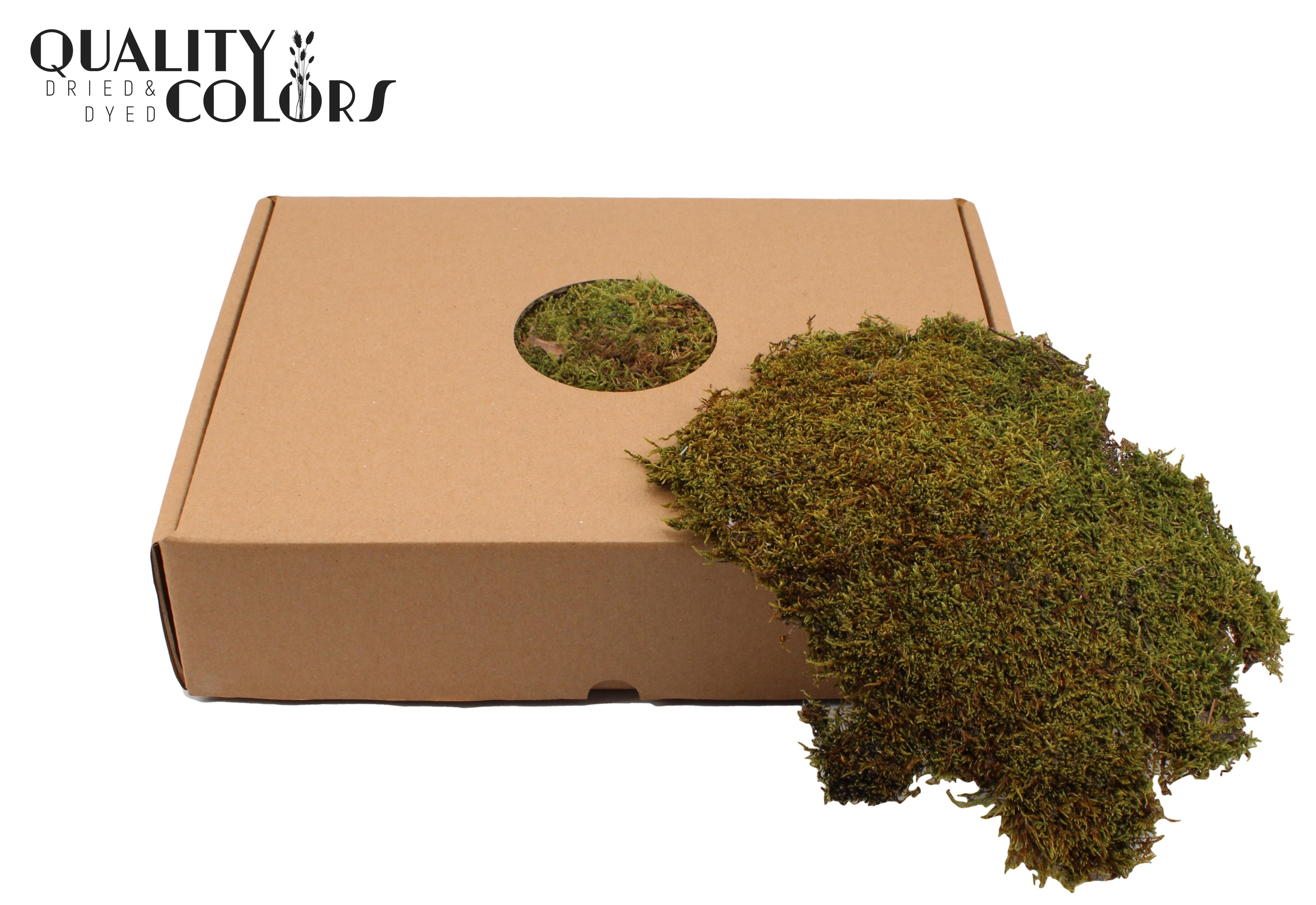 Flatmoss Preserved 2,5kg