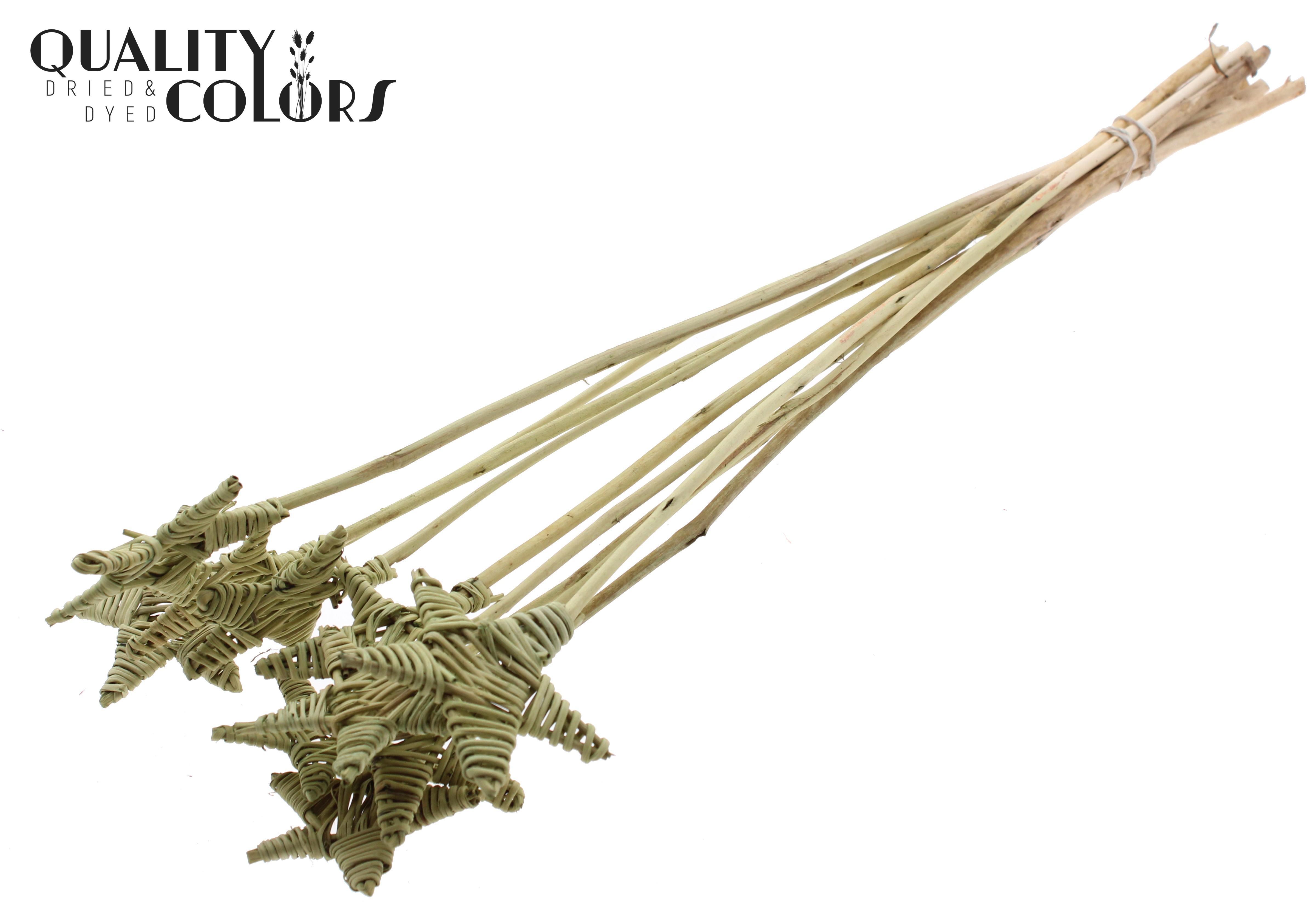 Lata Star Olive 50cm