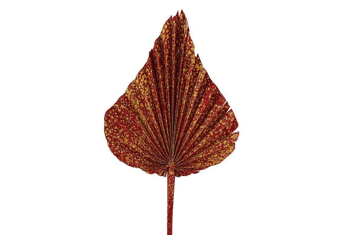 Dried Artz Palm Spear Xl Picasso P Stem