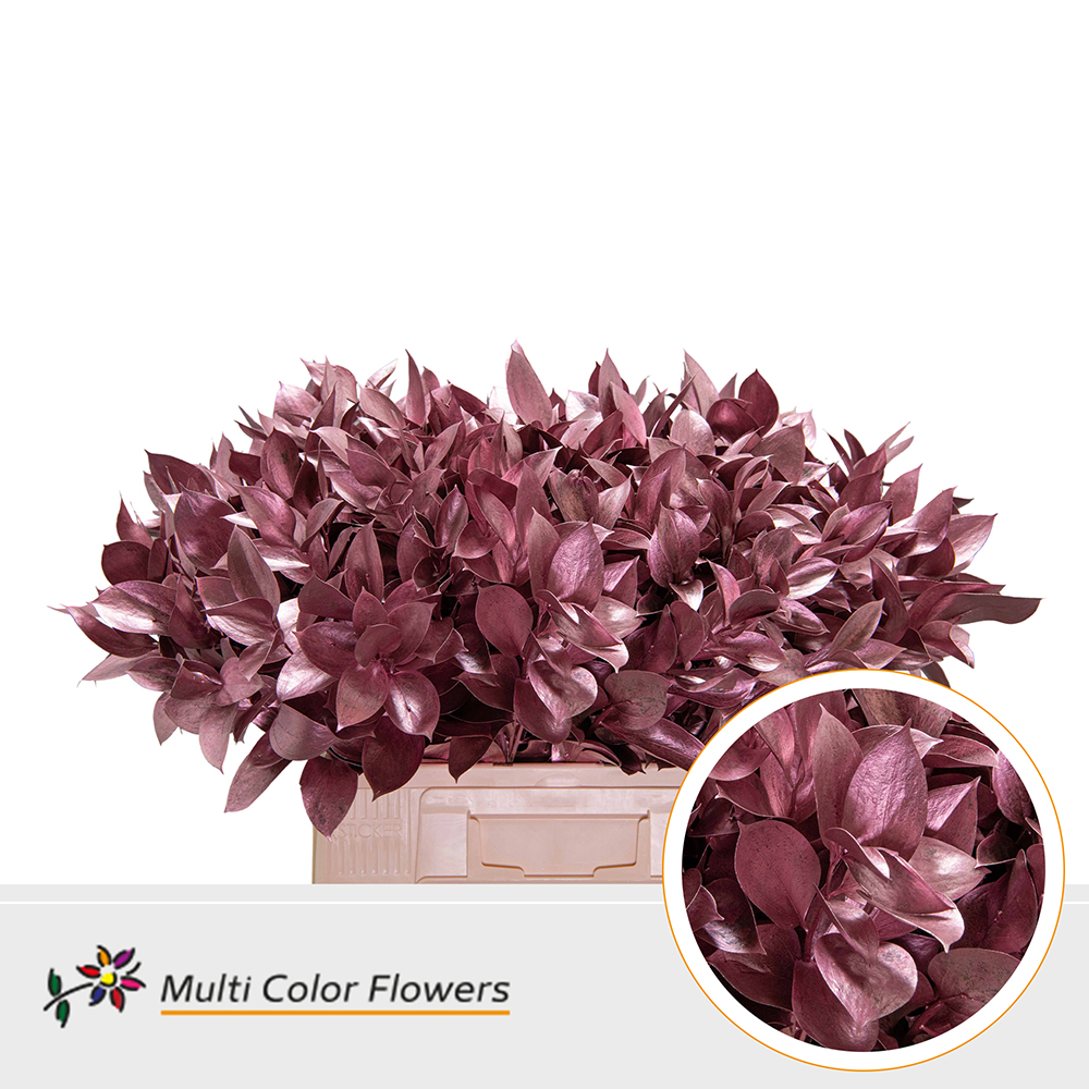 Ruscus Painted Hypophyllum Rose Gold 60cm