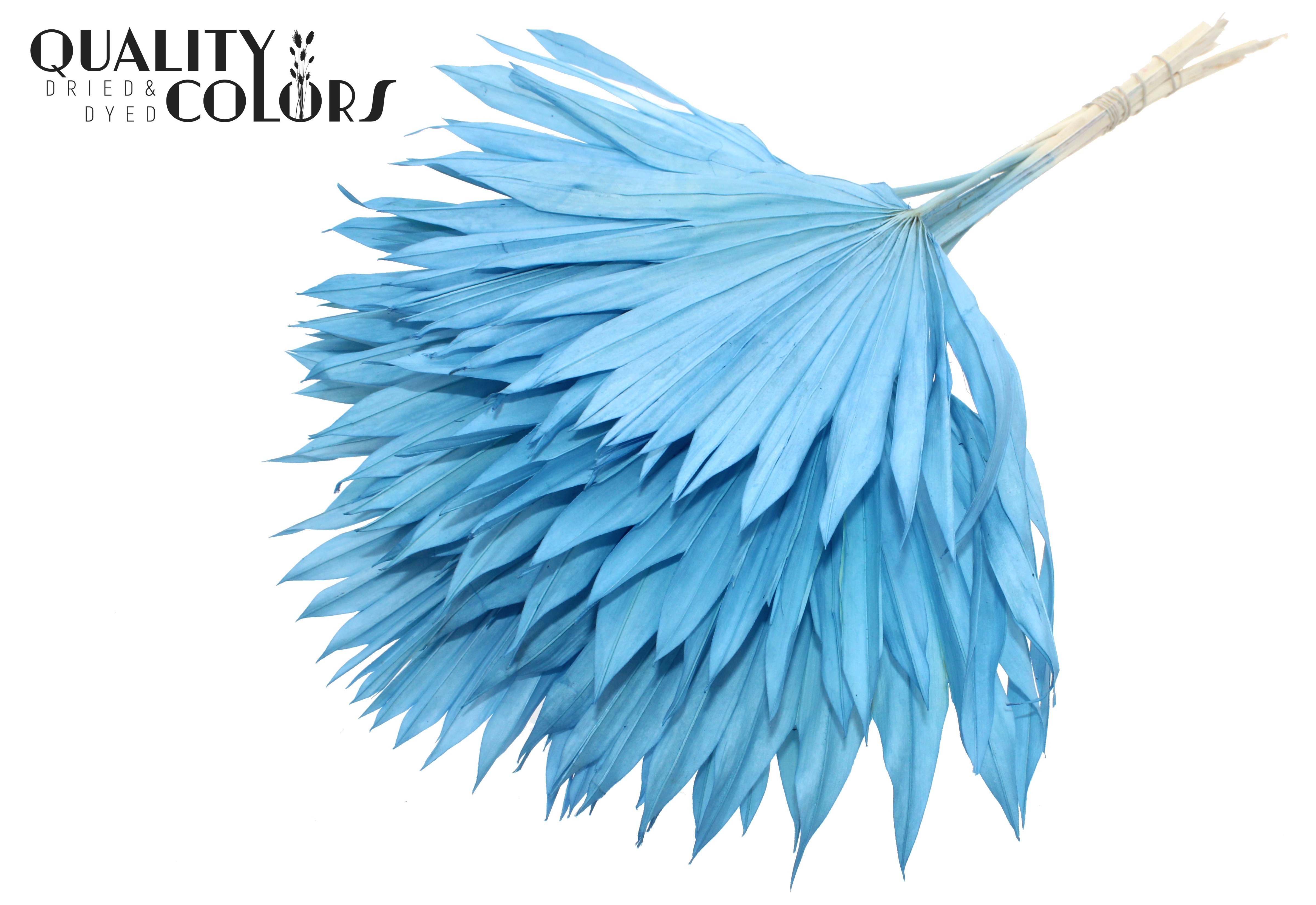 Palm Sun Intense Light Blue 50cm