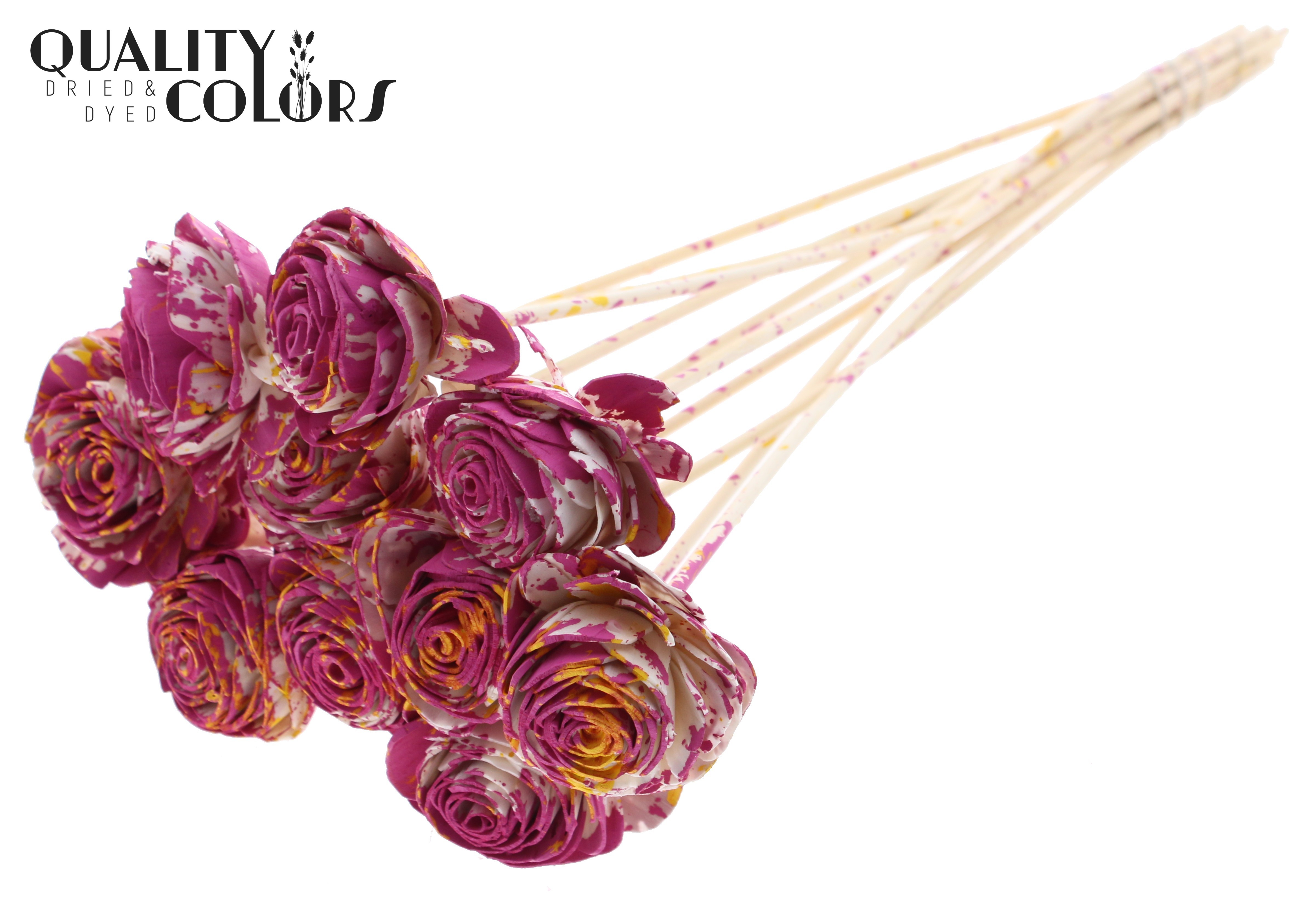 Shola Beauty Rose Multicolour Blue Yellow 50cm