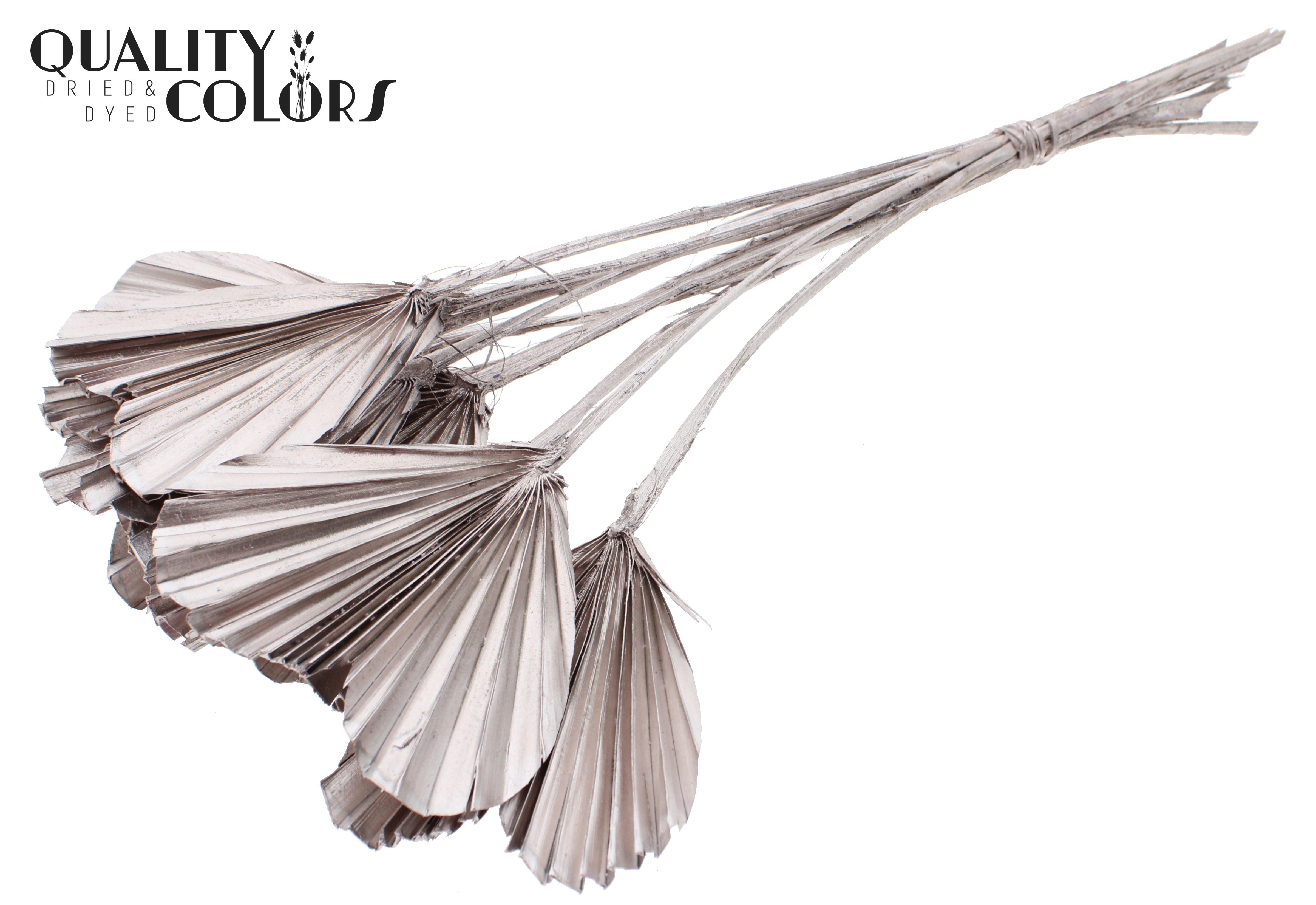 Palm Spear Heart Champagne 45cm