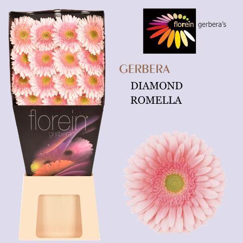 Ge Gr Romella Diamond 45