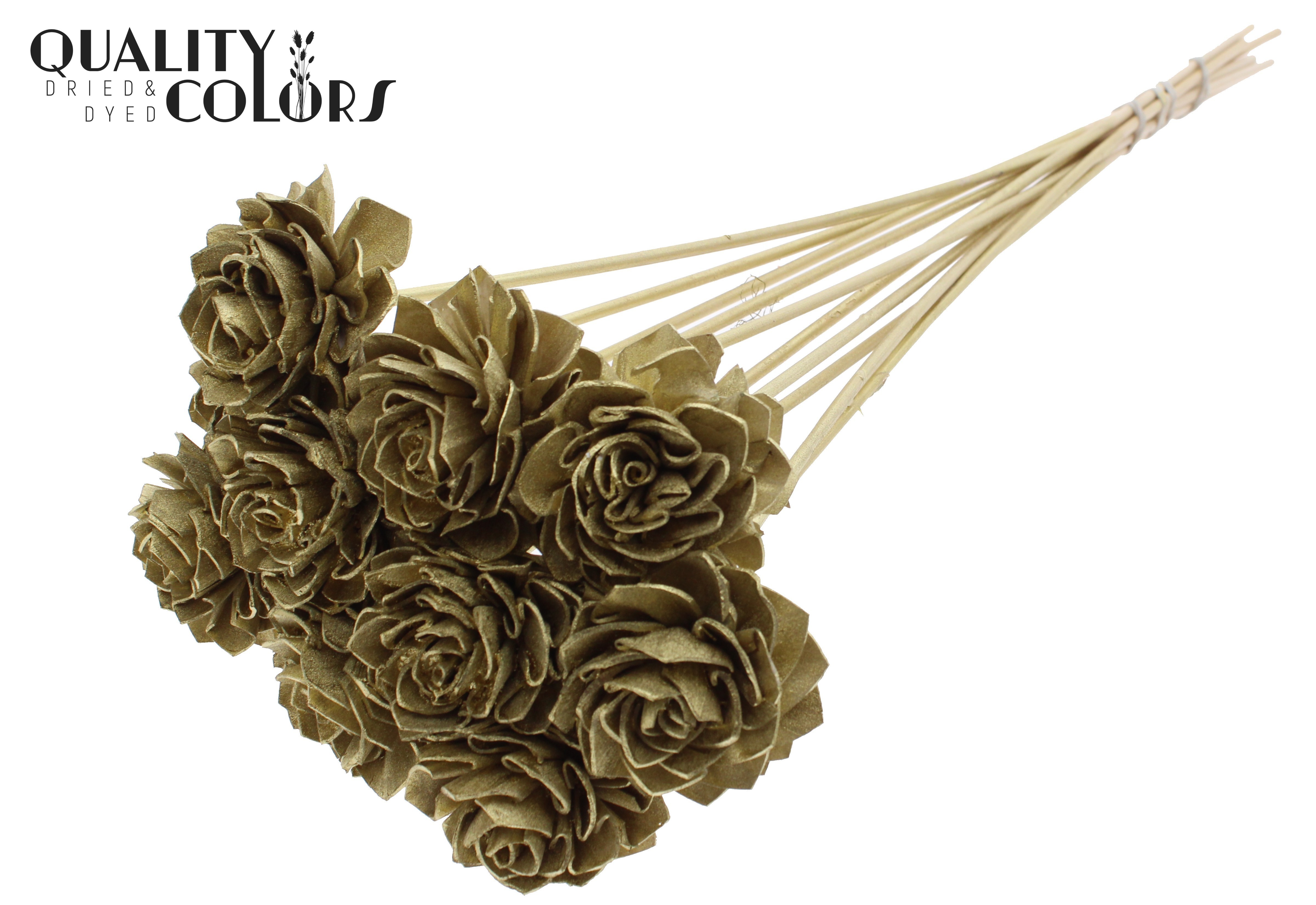 Shola Dhaliya Gold 50cm