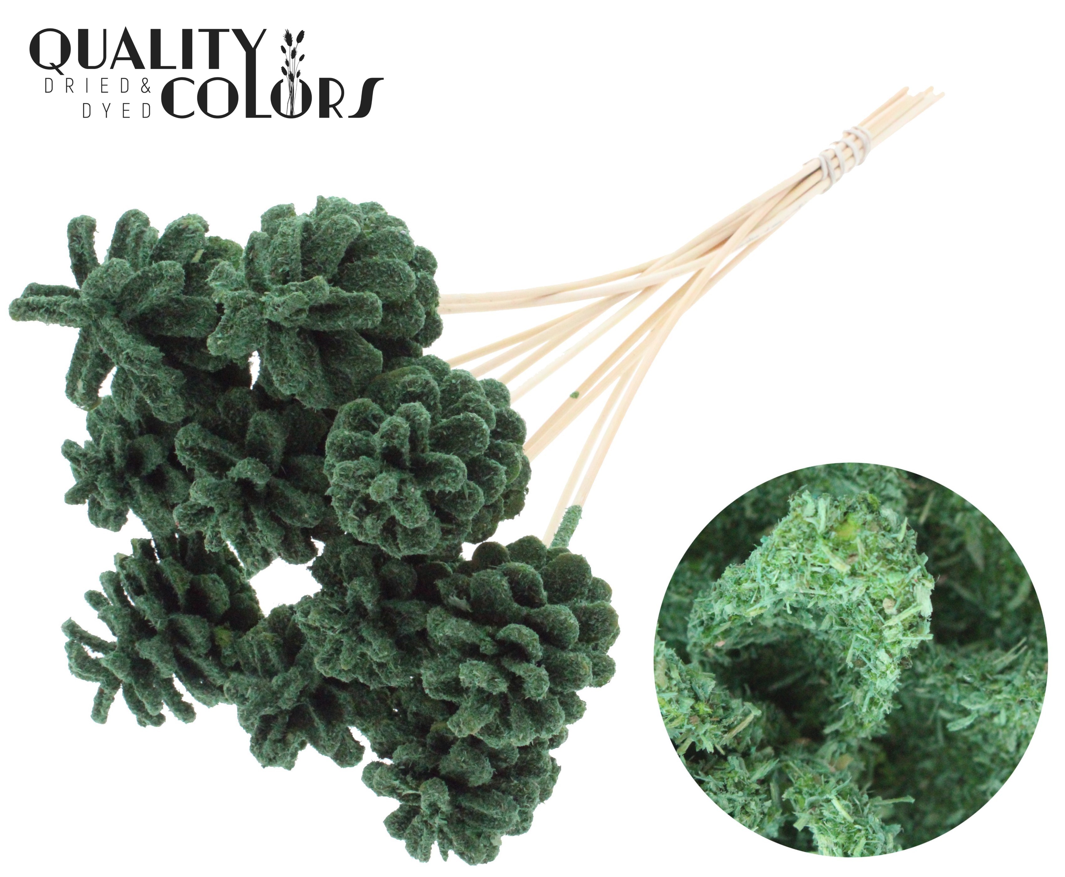 Pine Cone Sawdust Green 50cm
