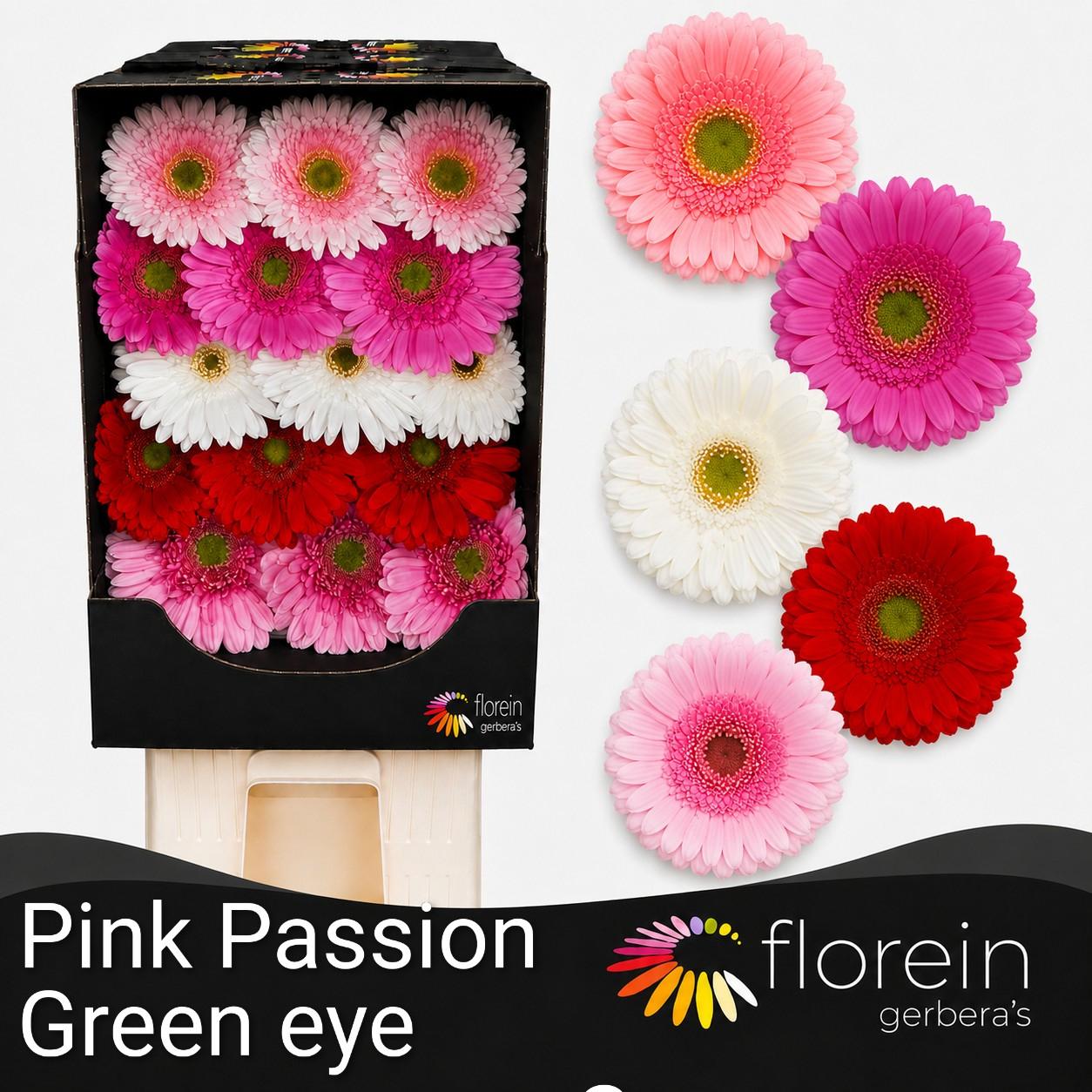 Ge Gr Pink & Passion Mix Diamond X45 (green Eye)
