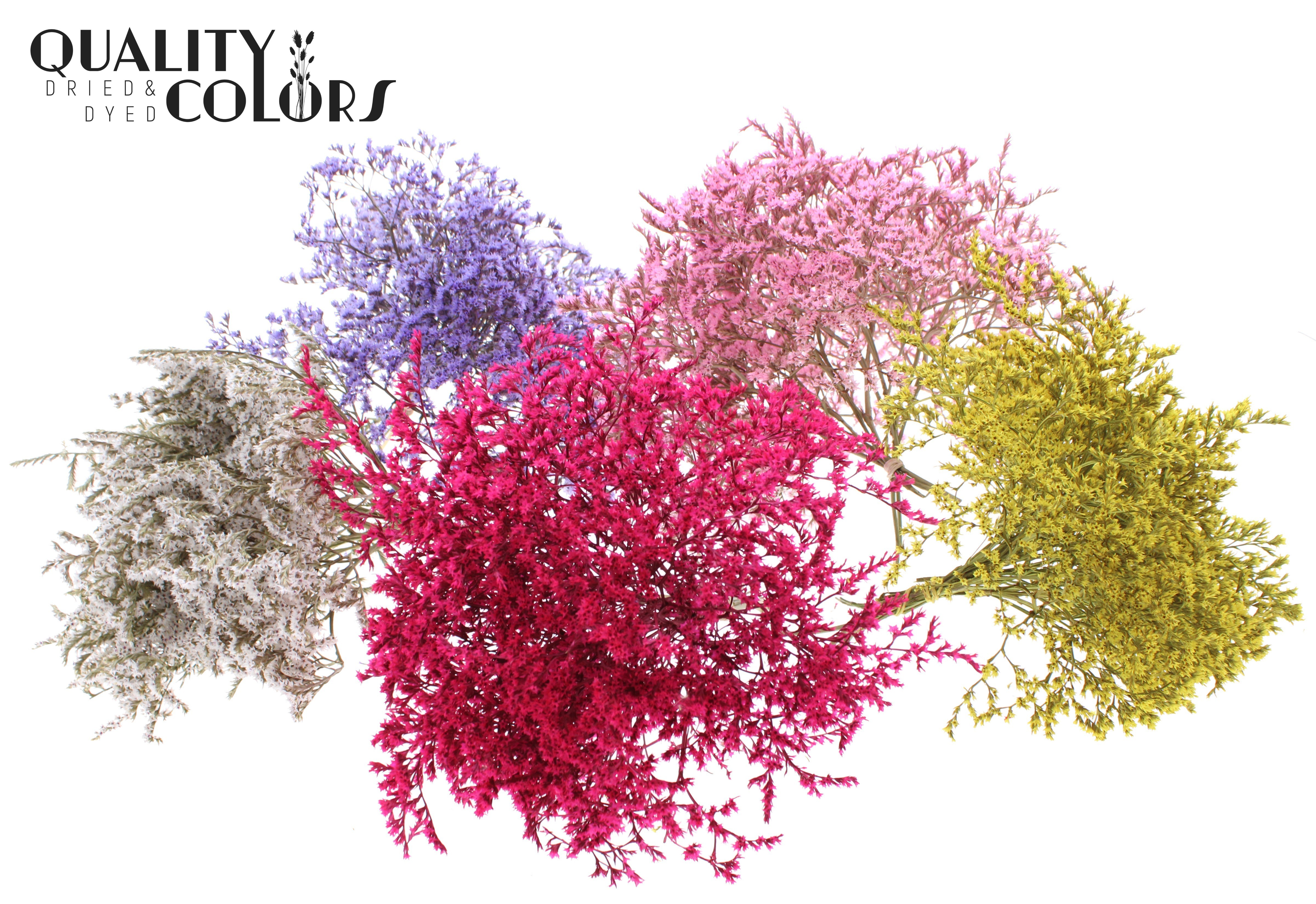 Limonium Tataricum Mix Per Bunch 30cm 45gr.