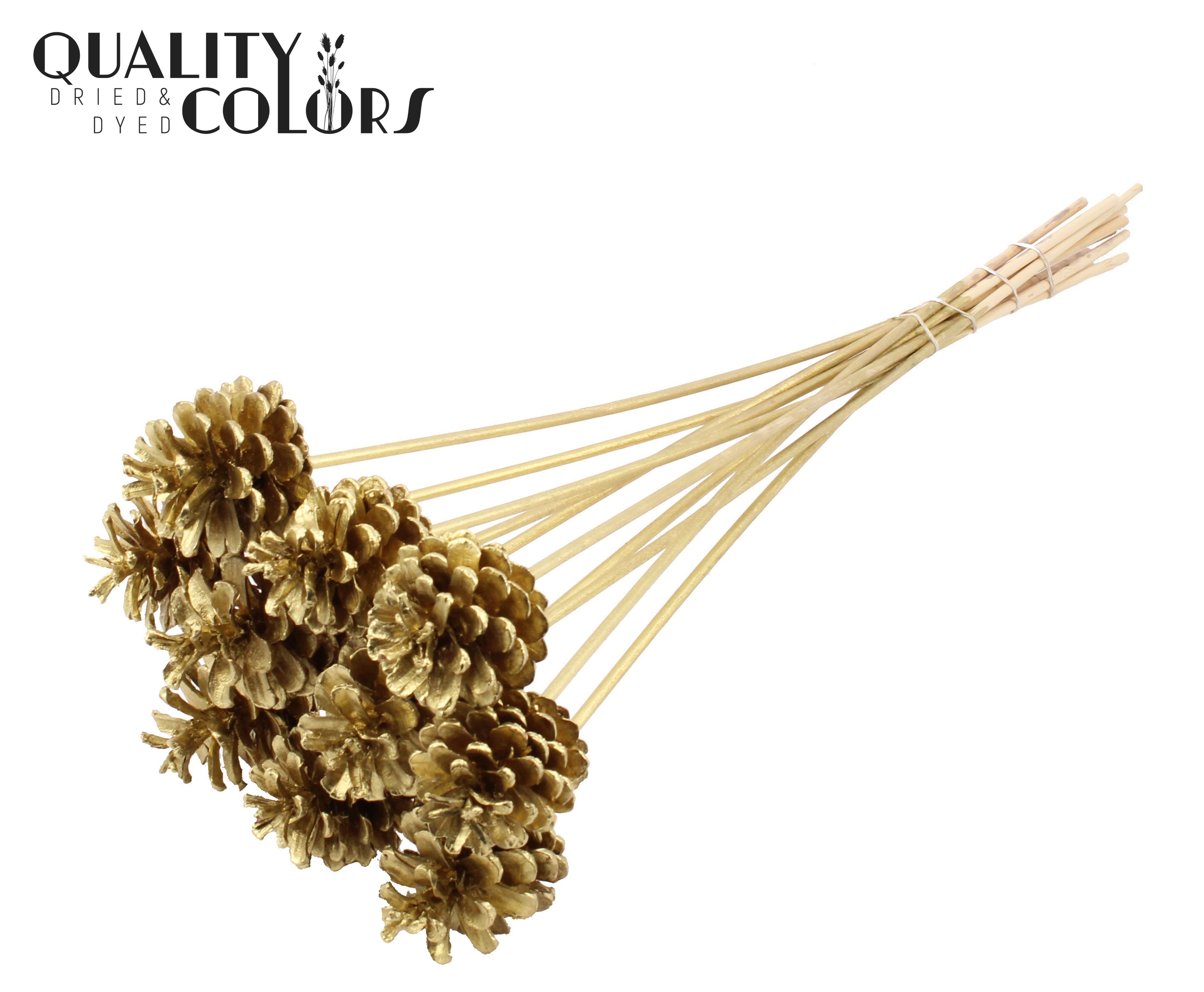 Pine Cone Gold 50cm