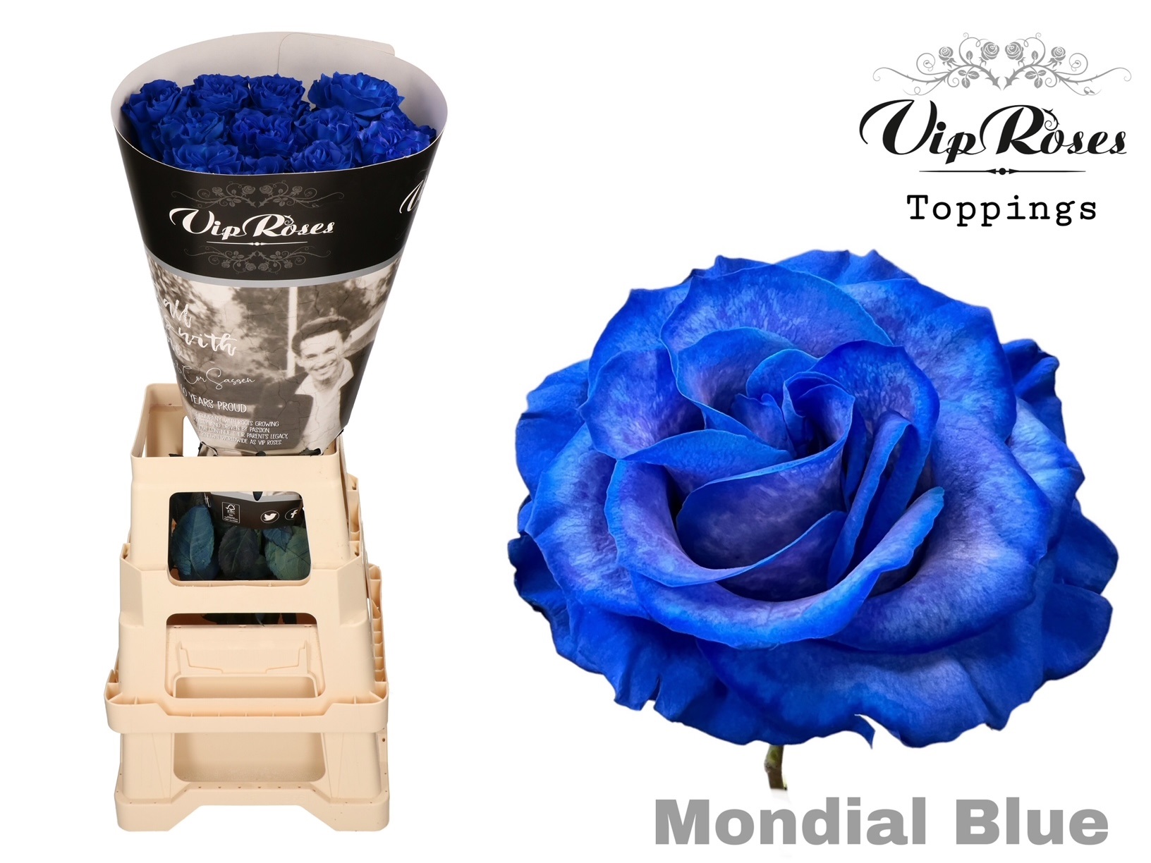 R Gr Blue Mondial Blue 60 cm
