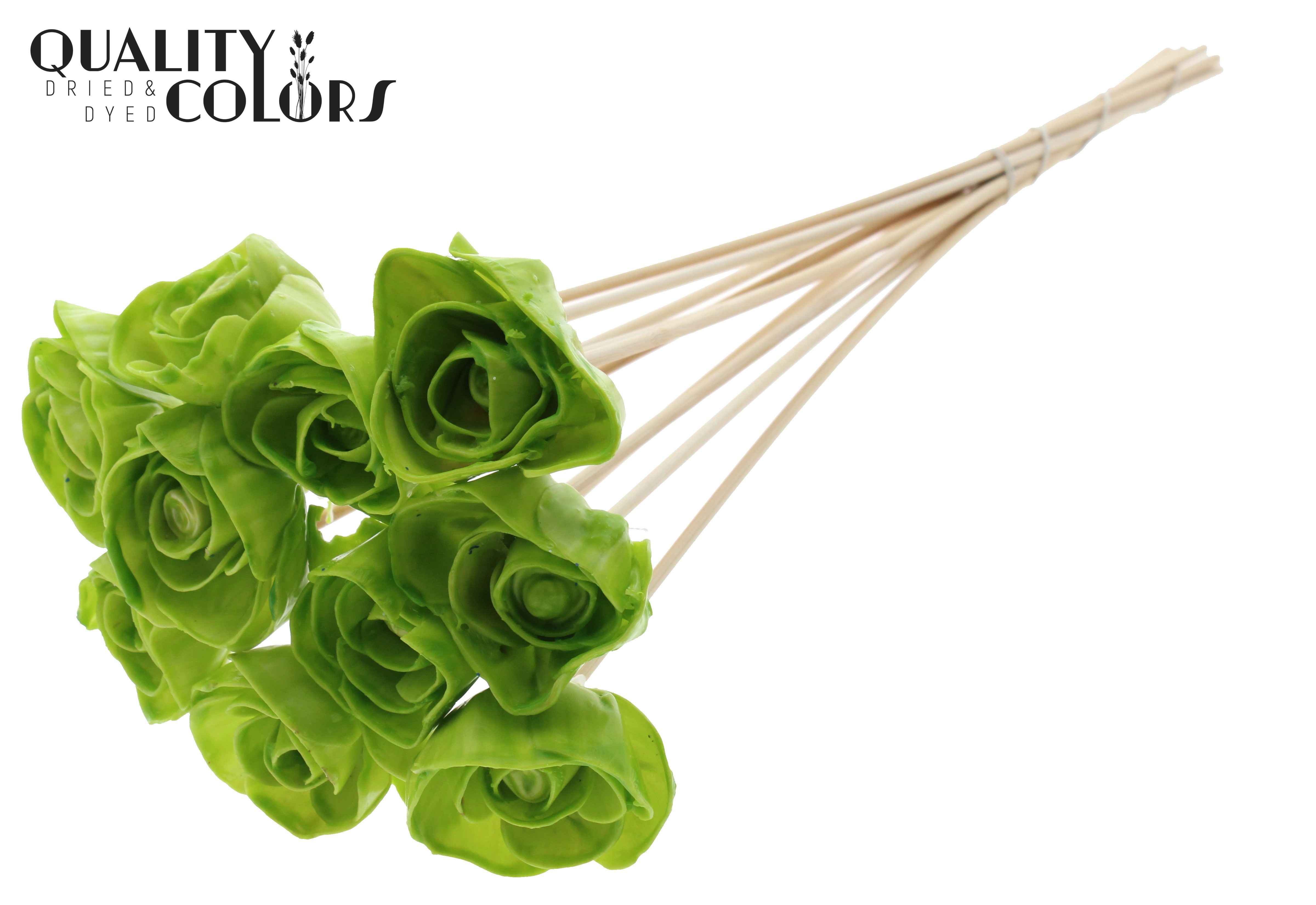Shola Dear Holly Wax Light Green 50cm