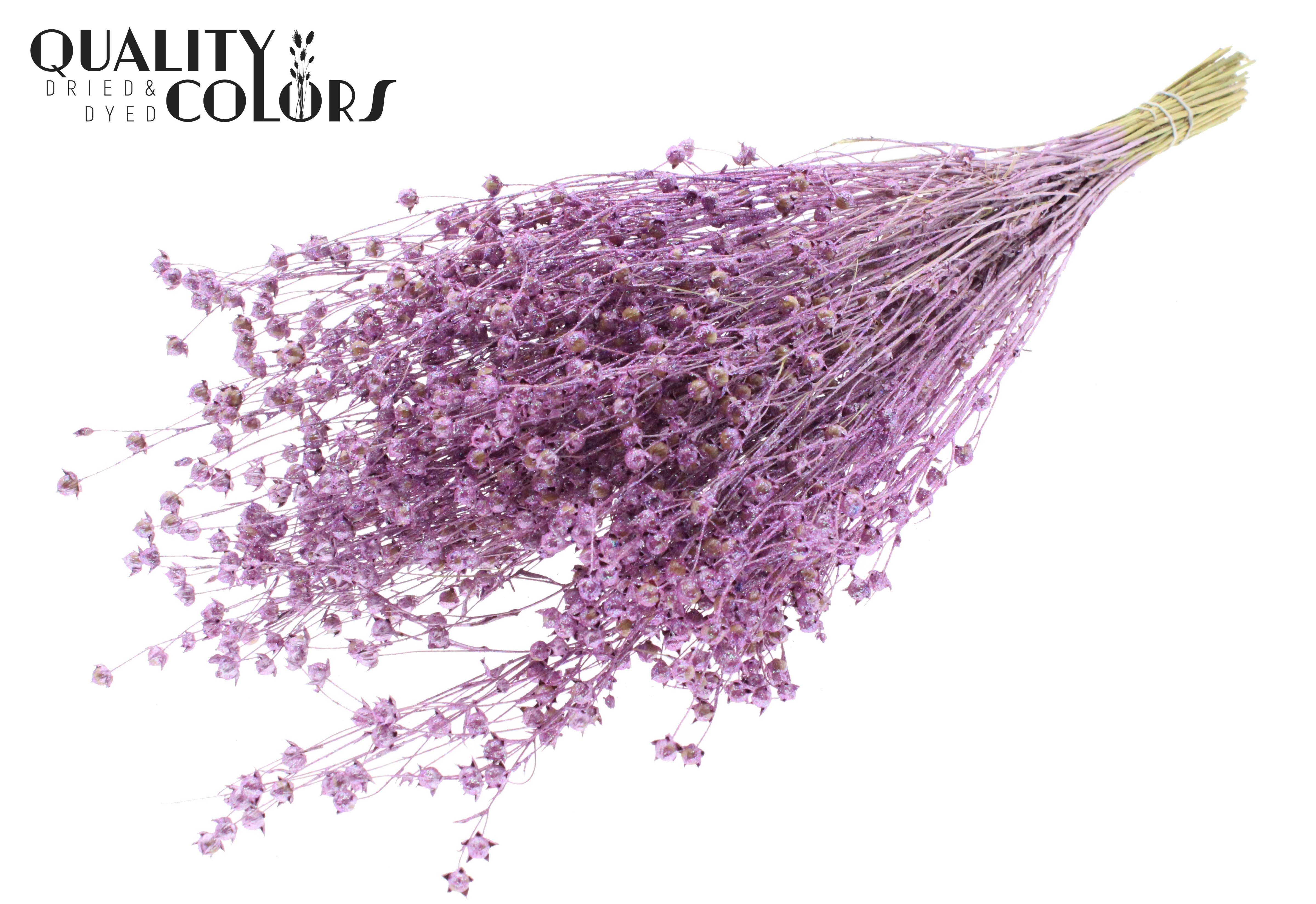 Lino Flax Metallic Pink + Glitter Per Bunch 50cm