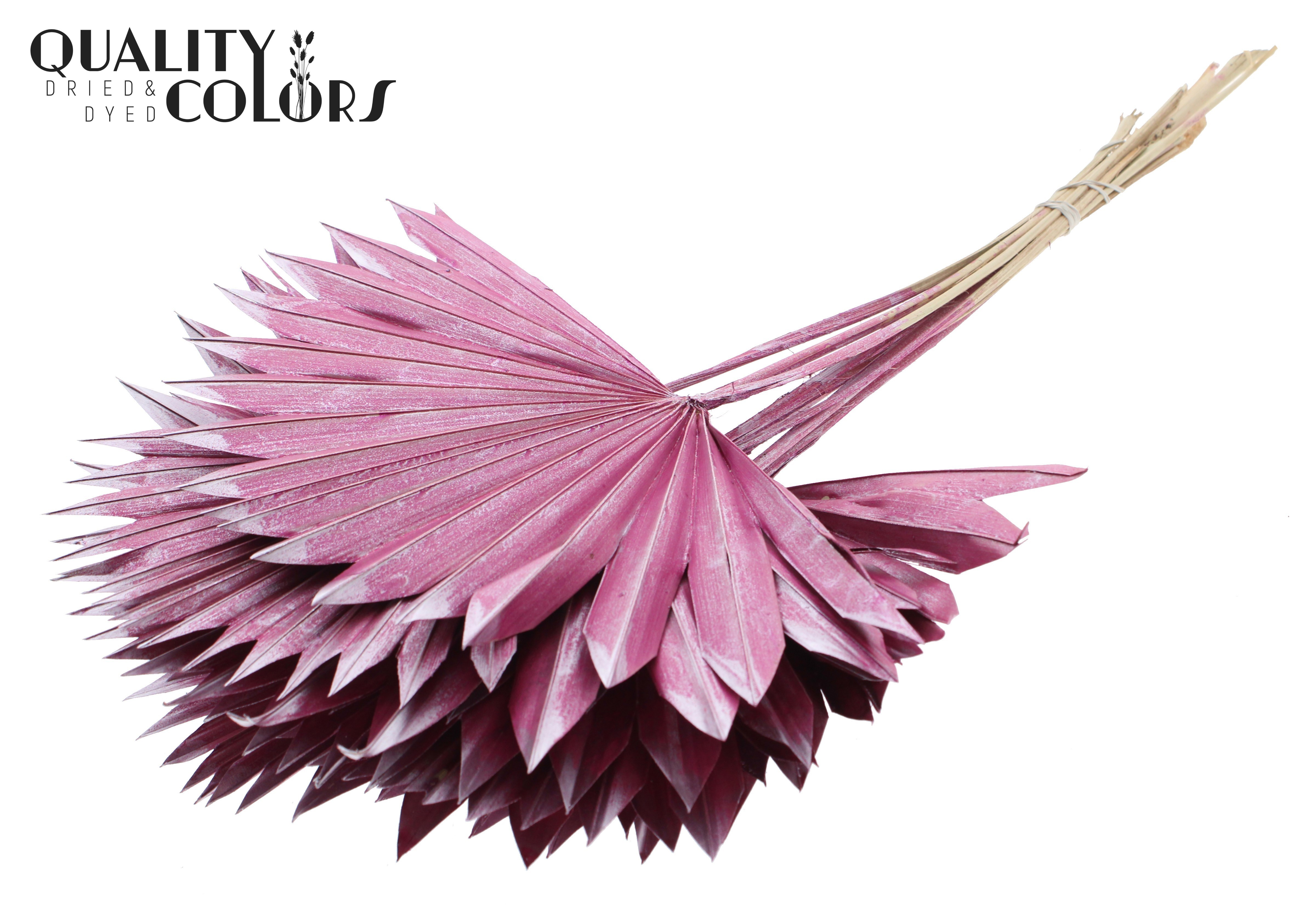 Palm Sun Metallic Pink 50cm