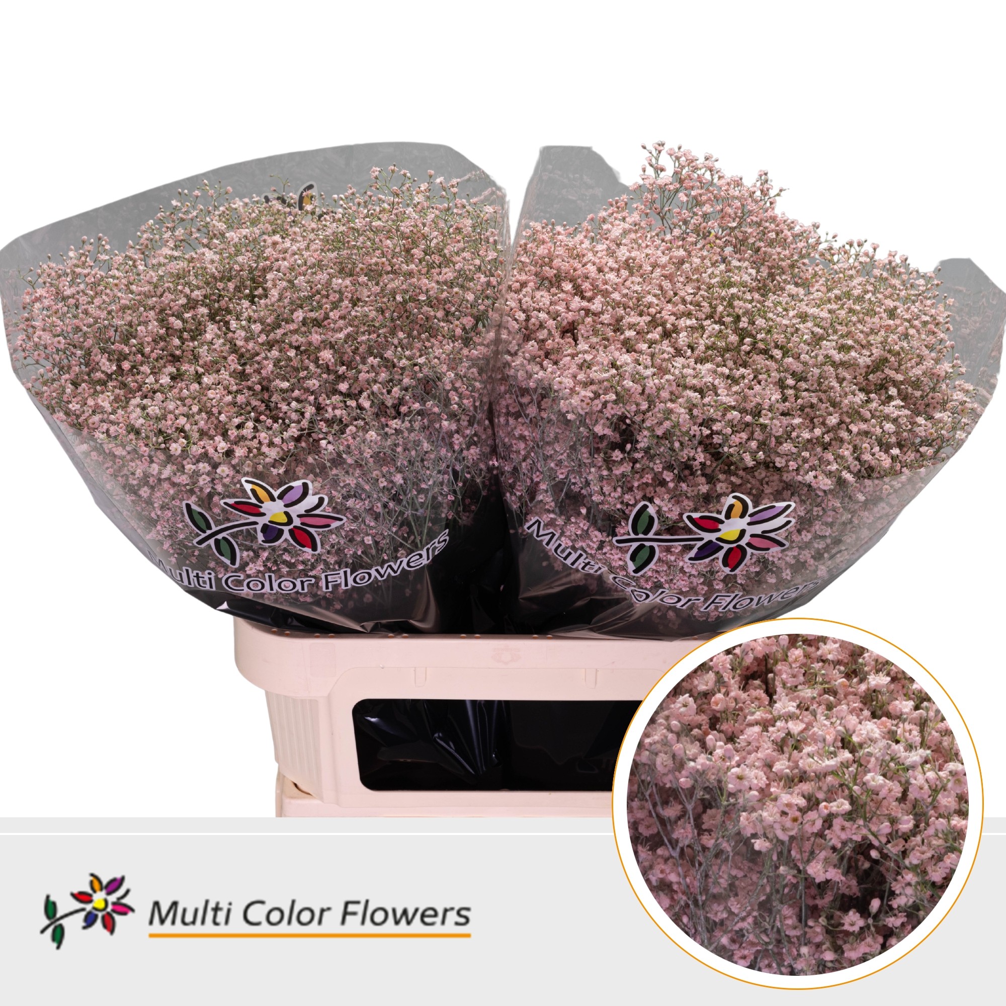 Gypsophila Painted Million Star Light Pink 80cm