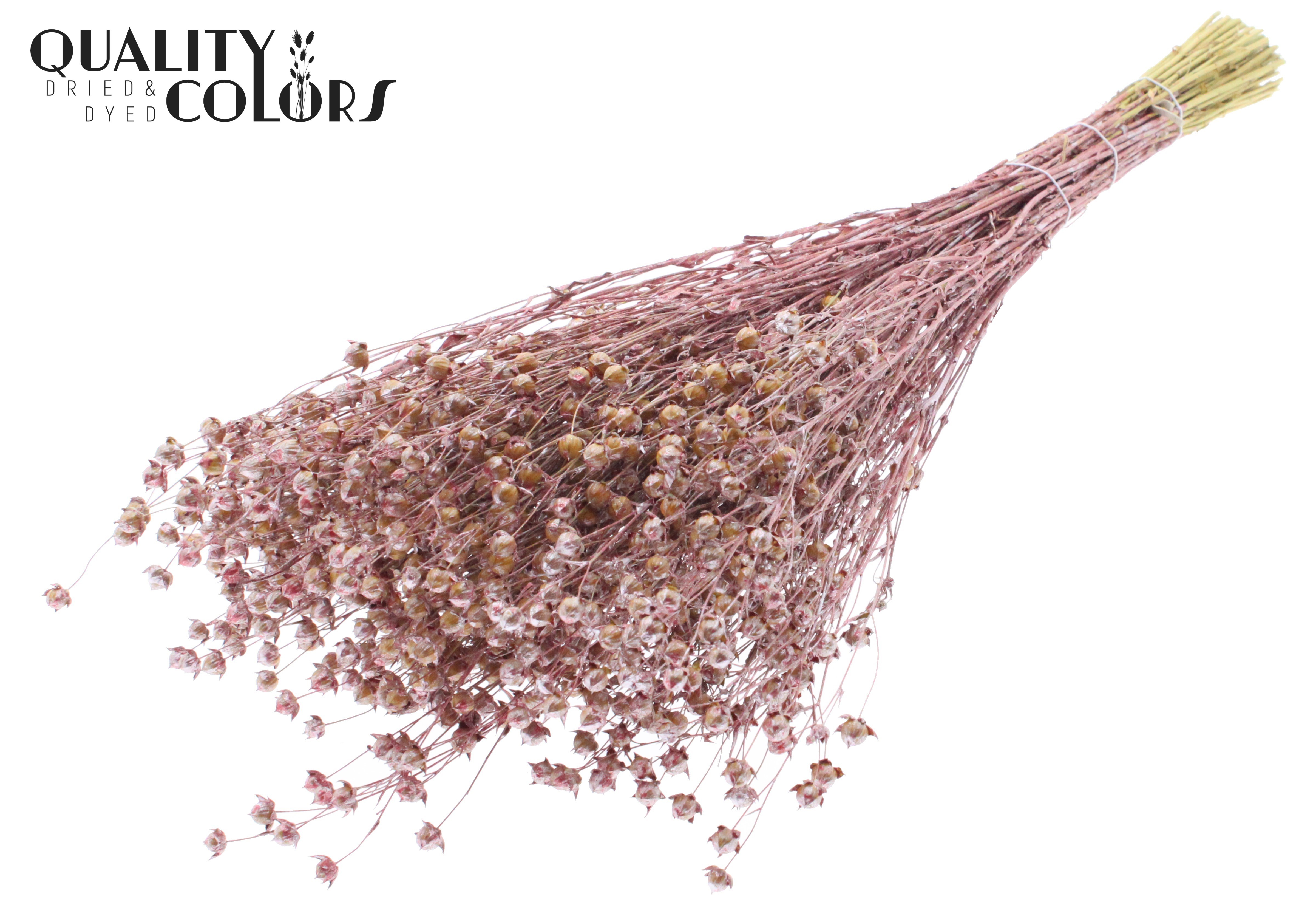 Lino Flax Metallic Red Per Bunch 50cm