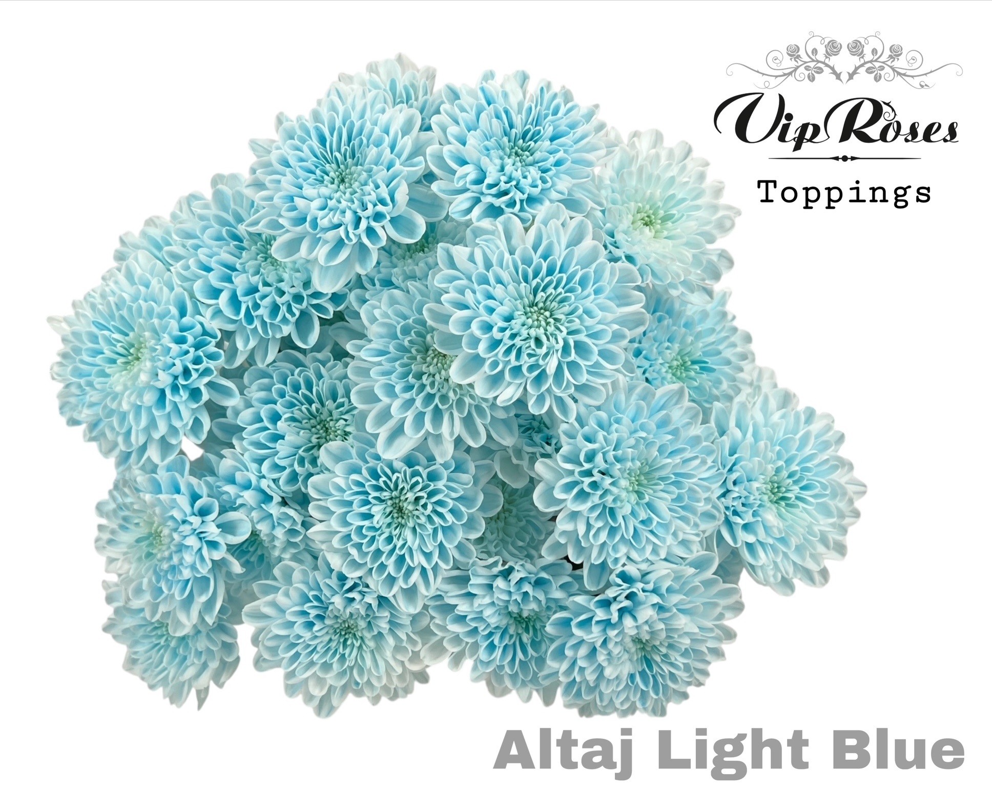 Chr T Altaj Light Blue 70 cm