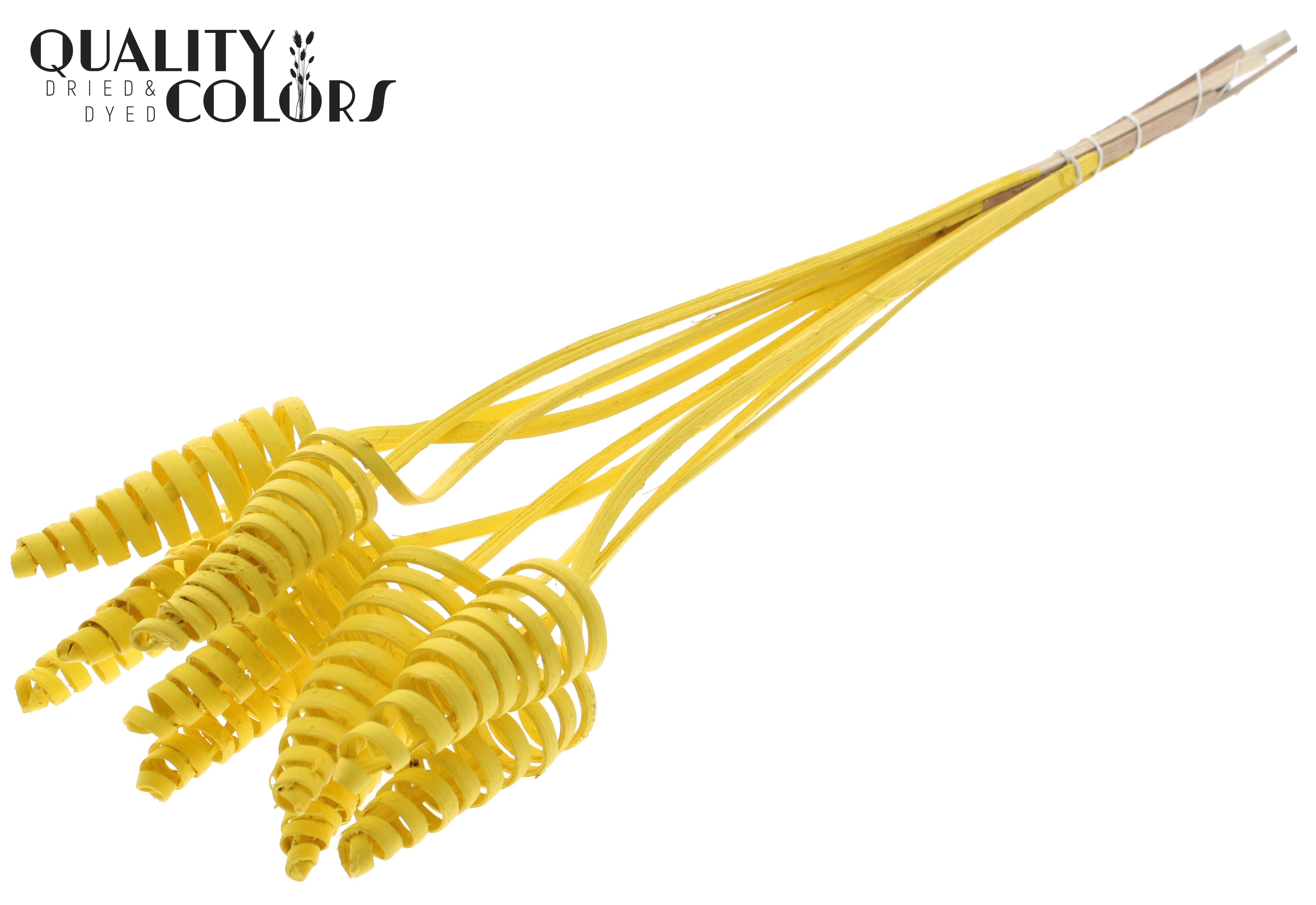 Cane Cone Yellow 50cm