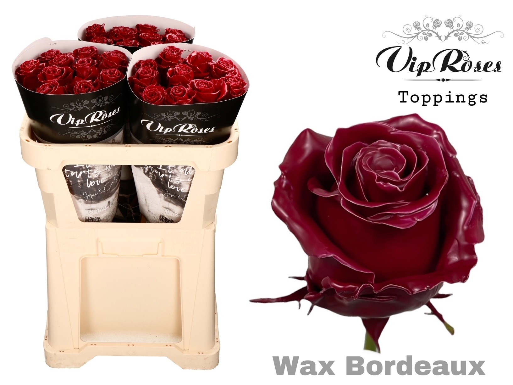 Rosa Waxed Vip Bordeaux 70cm