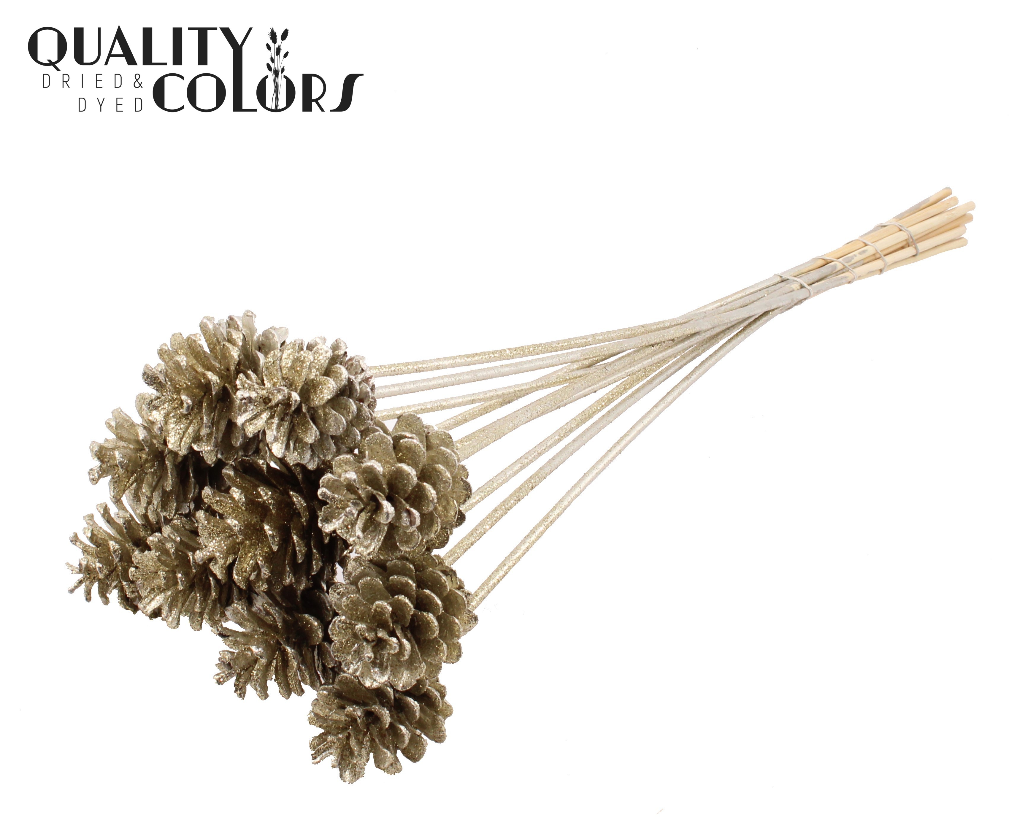 Pine Cone Platinum + Glitter 50cm