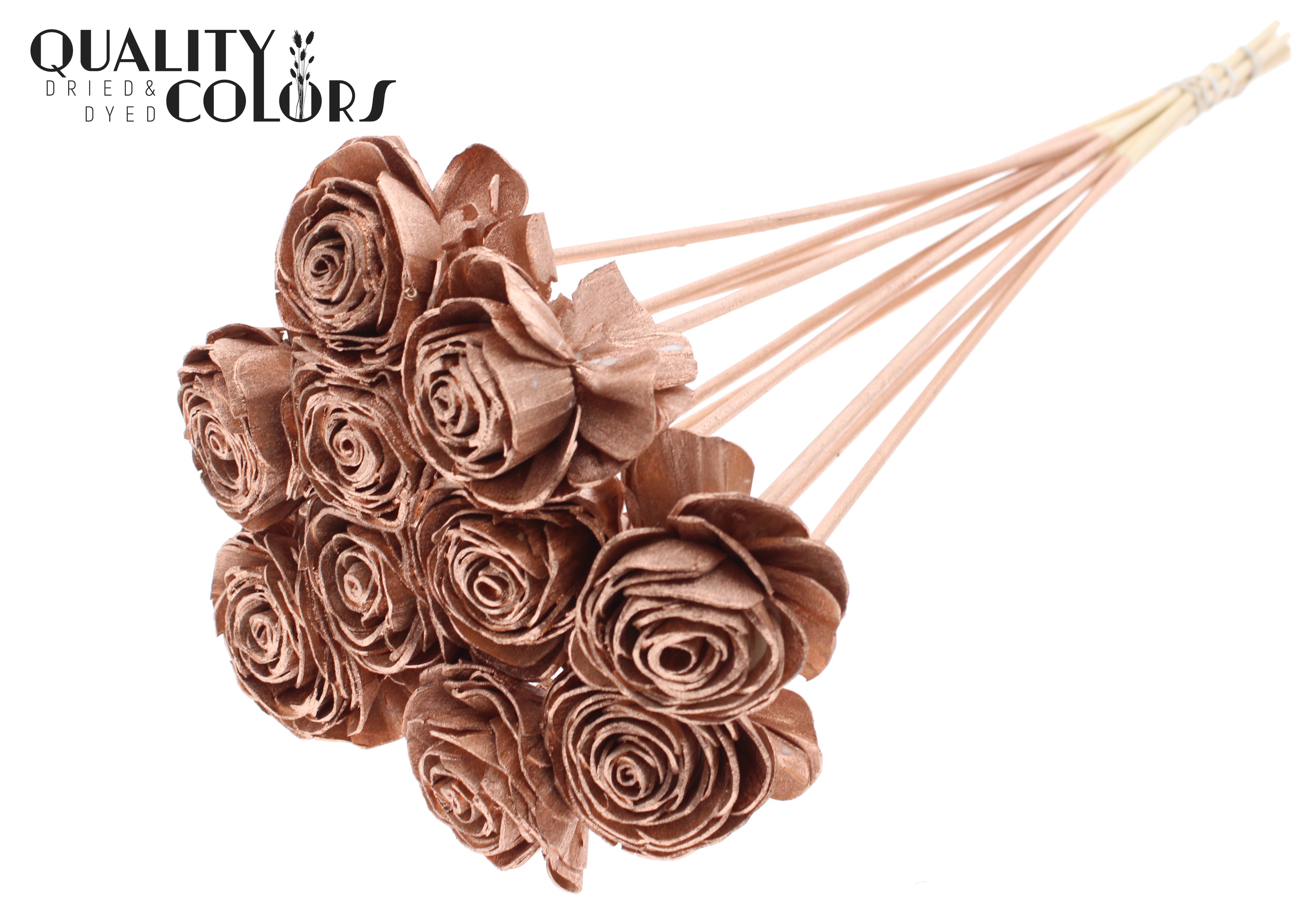 Shola Beauty Rose Copper 50cm