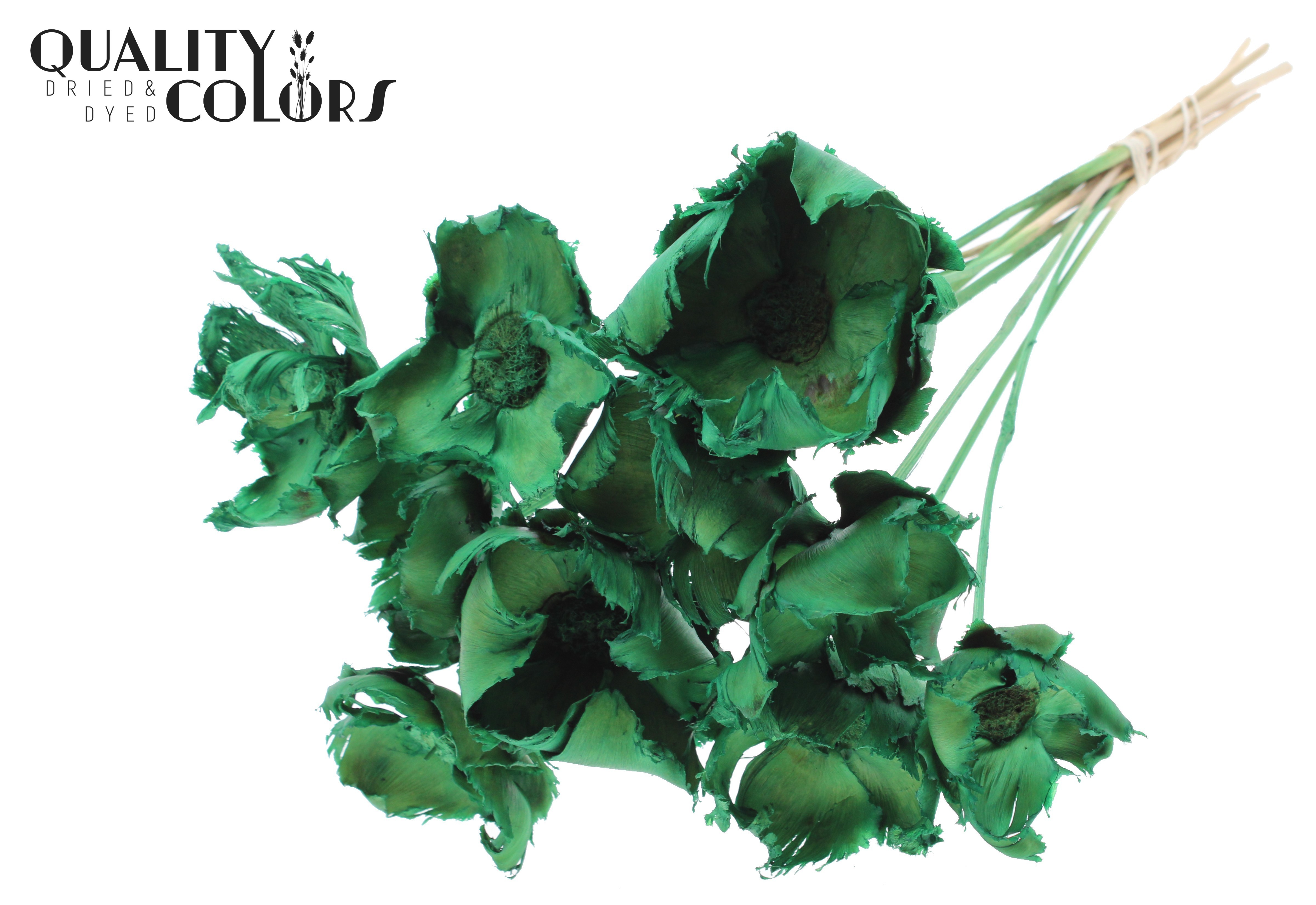 Palm Cup Intense Light Green 50cm