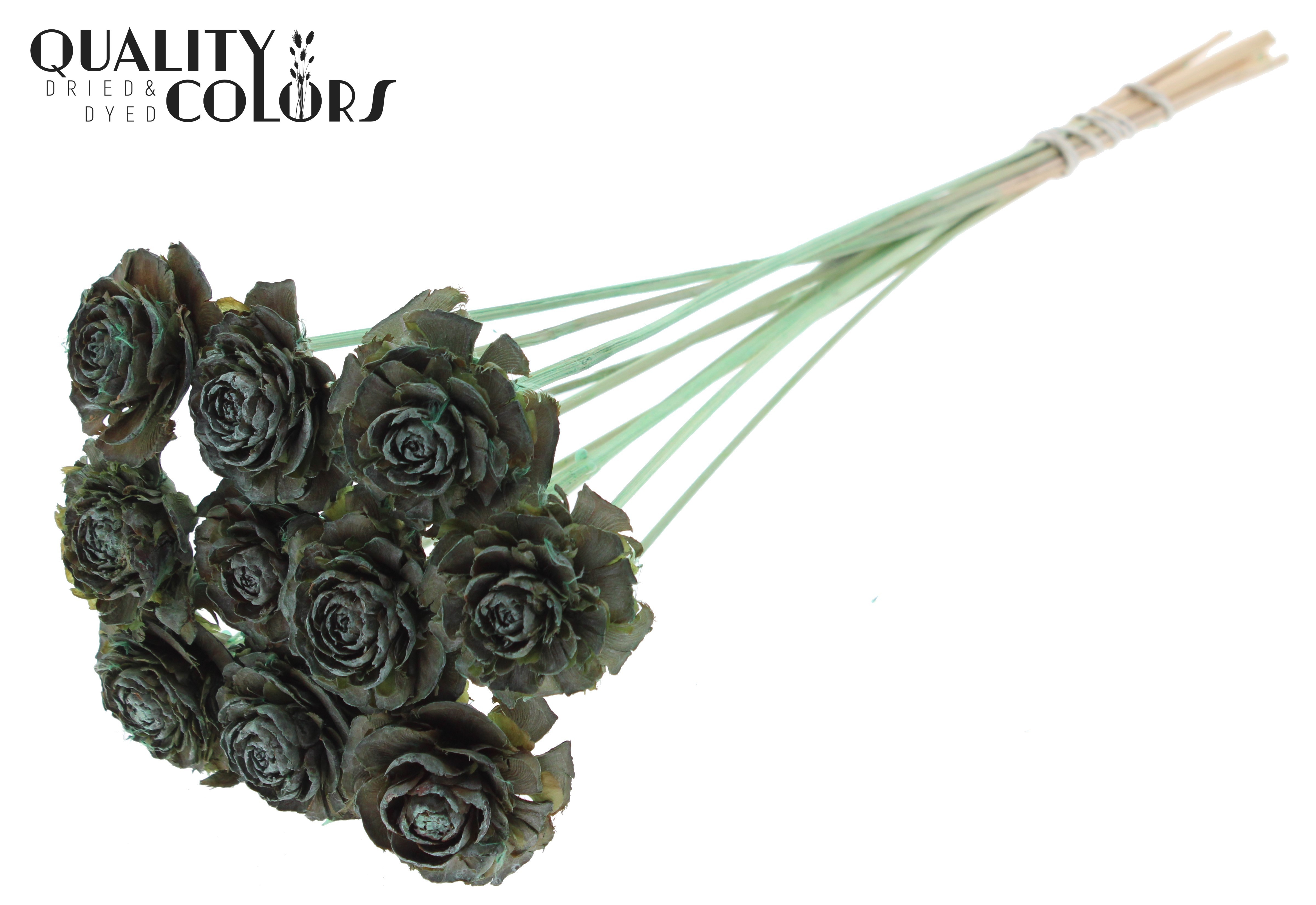 Cedar Rose Frosted Mint Green 50cm