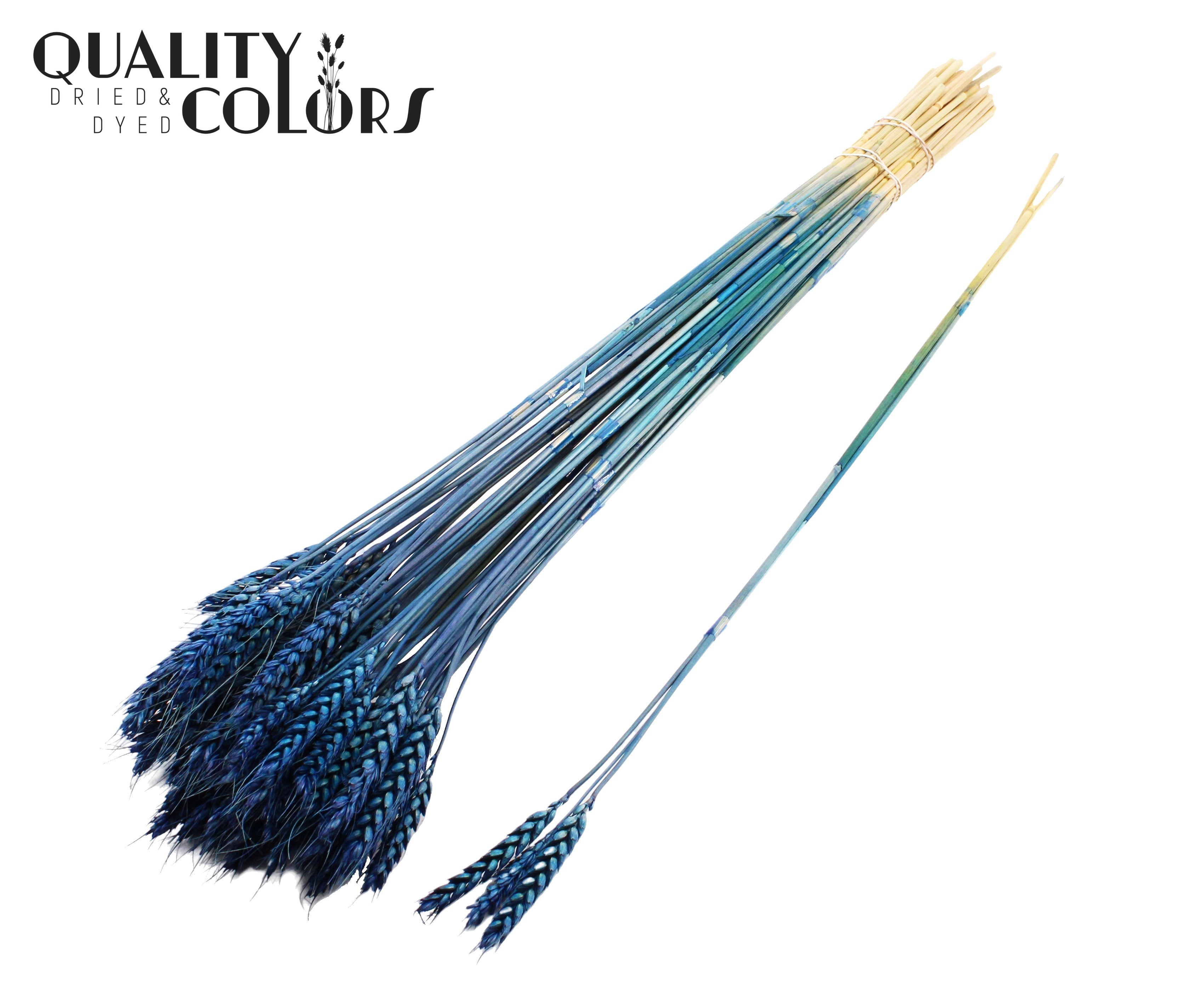 Triticum Tuft Dark Blue 55cm