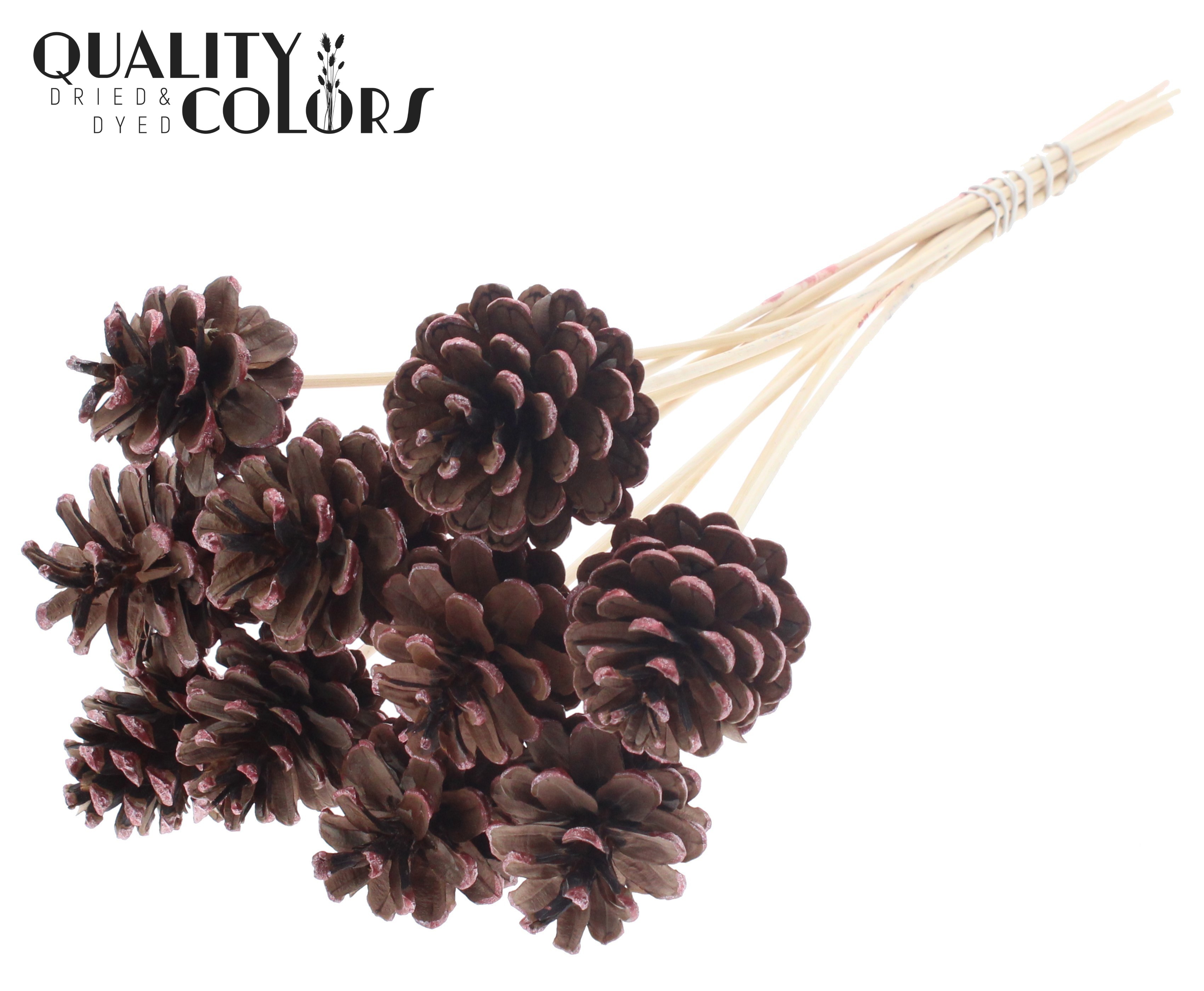 Pine Cone Metallic Red Tipped 50cm