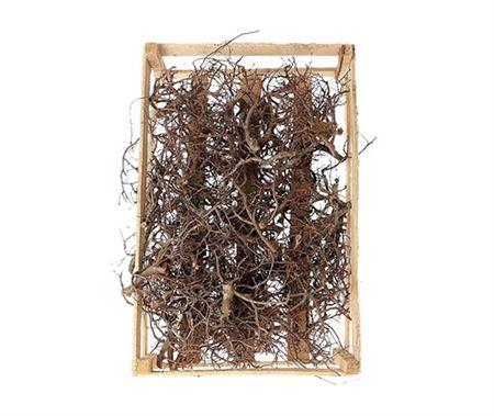 Bonsai Wood Naturel P Crate