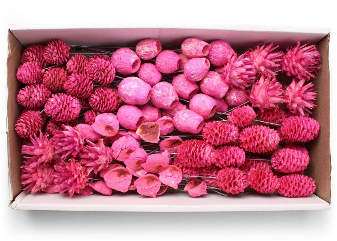 Lcd Assorti Pastel Fuchsia On 10cm Wire