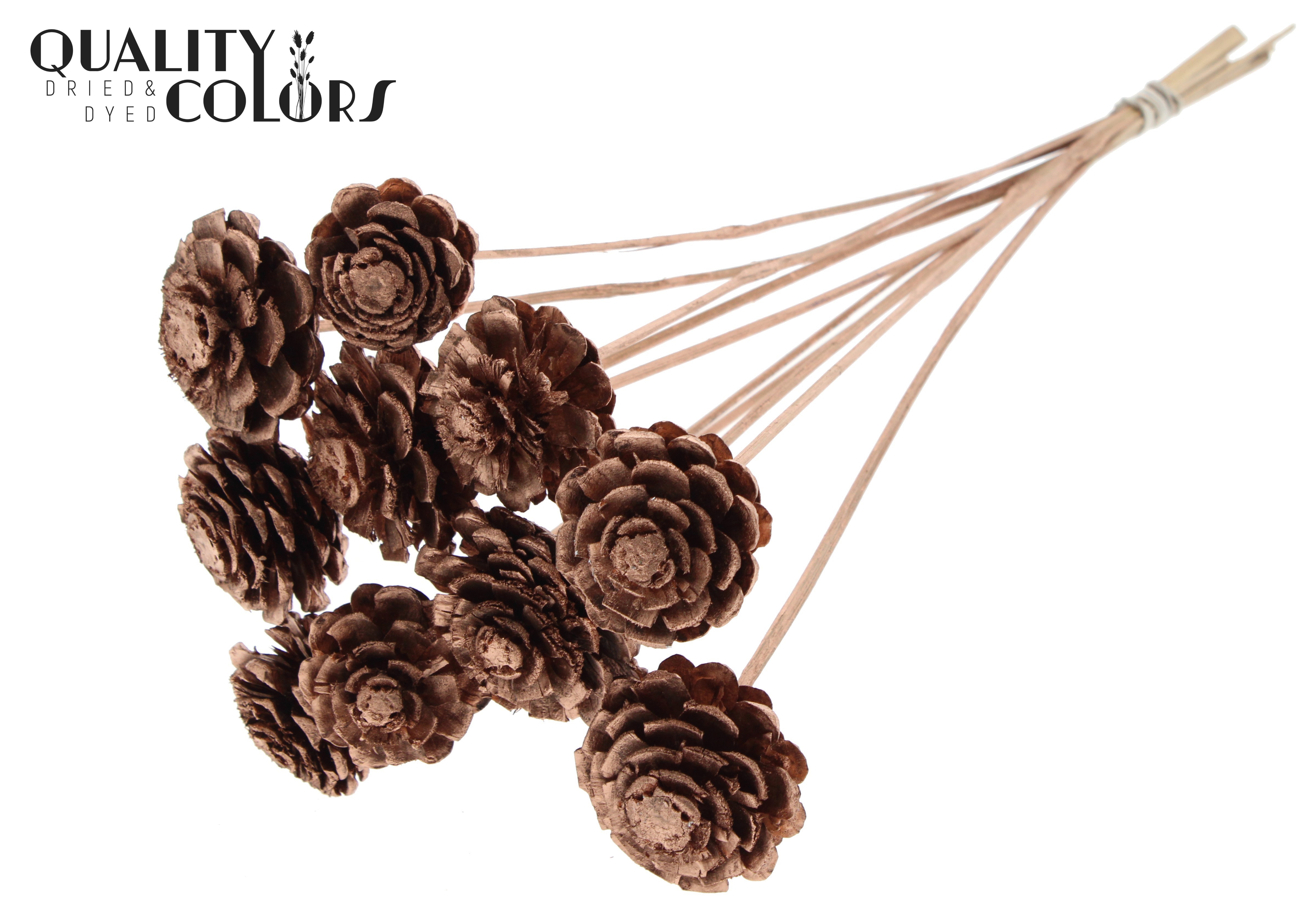 Pine Cone Copper 50cm