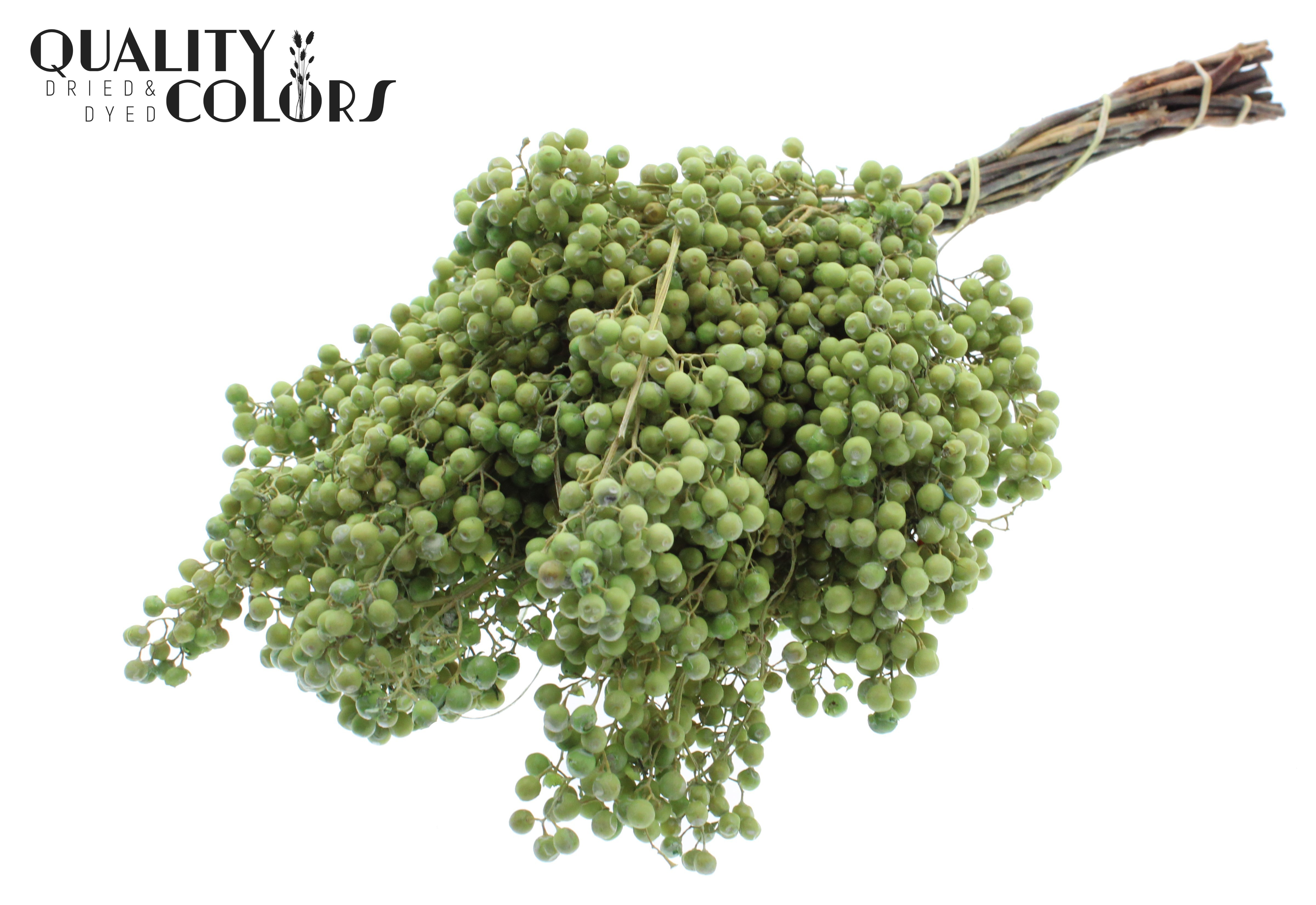 Schinus Mollis Light Green Per Bunch