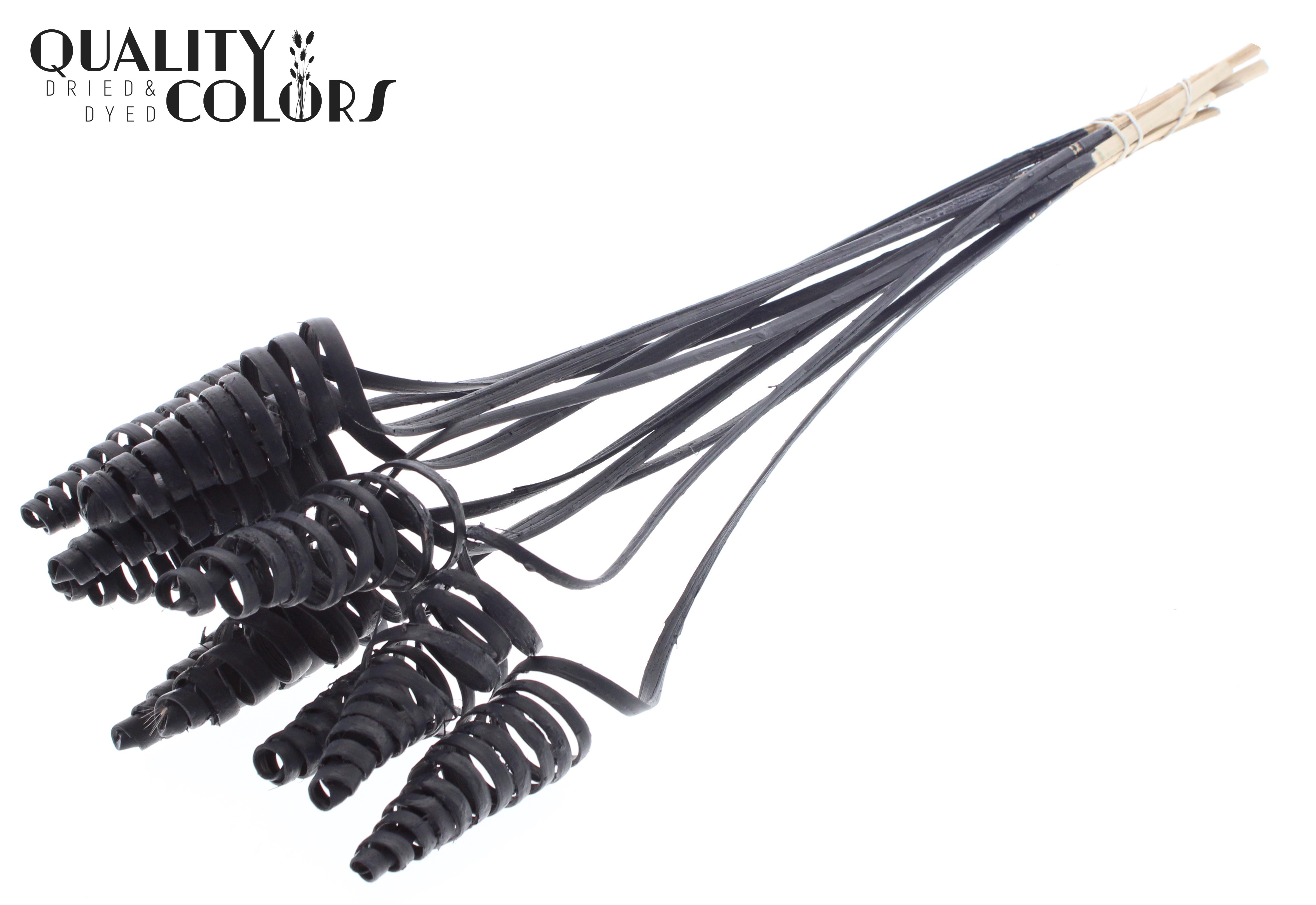 Cane Cone Black 50cm