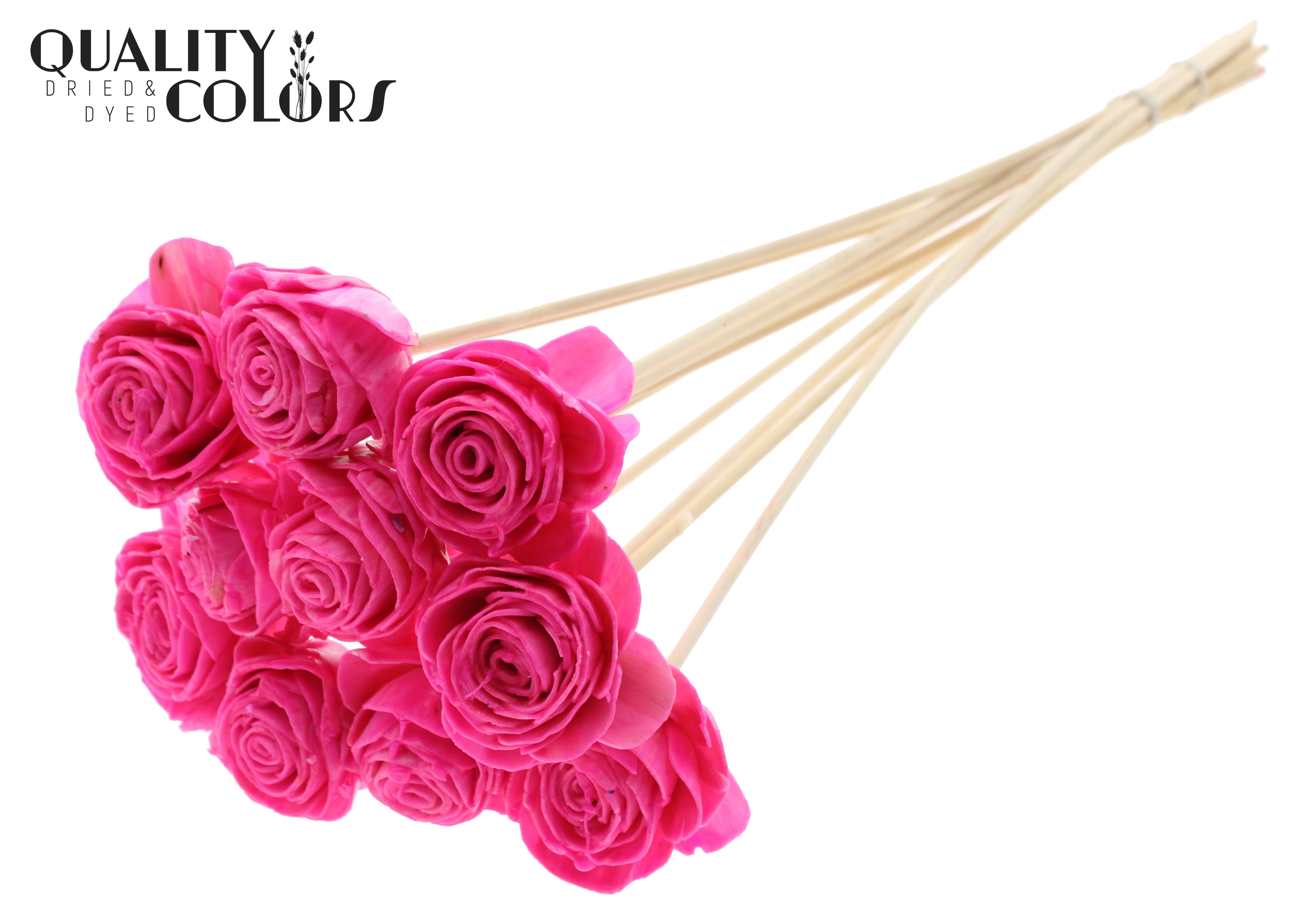 Shola Beauty Rose Wax Cerise 50cm