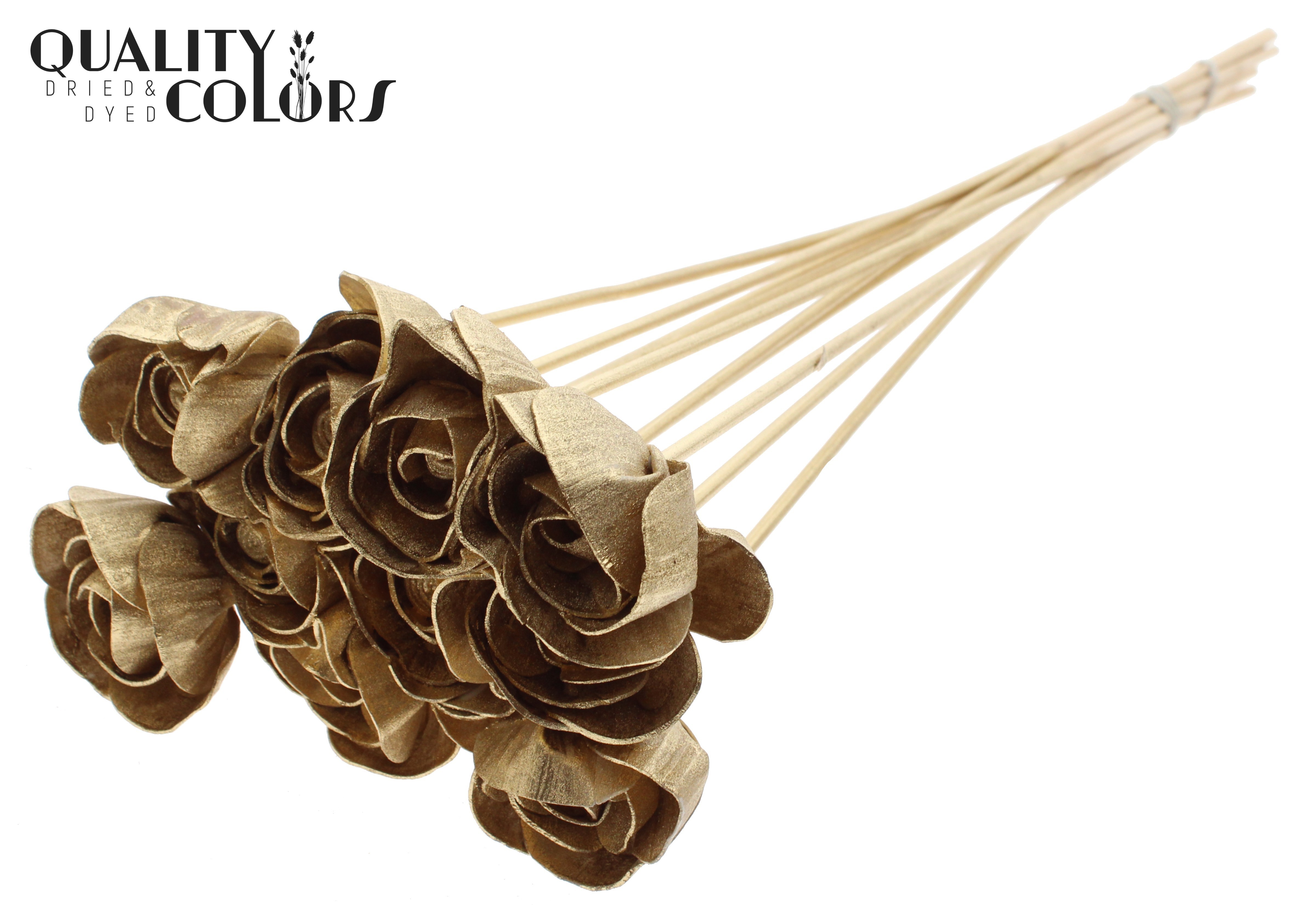 Shola Dear Holly Antique Gold 50cm