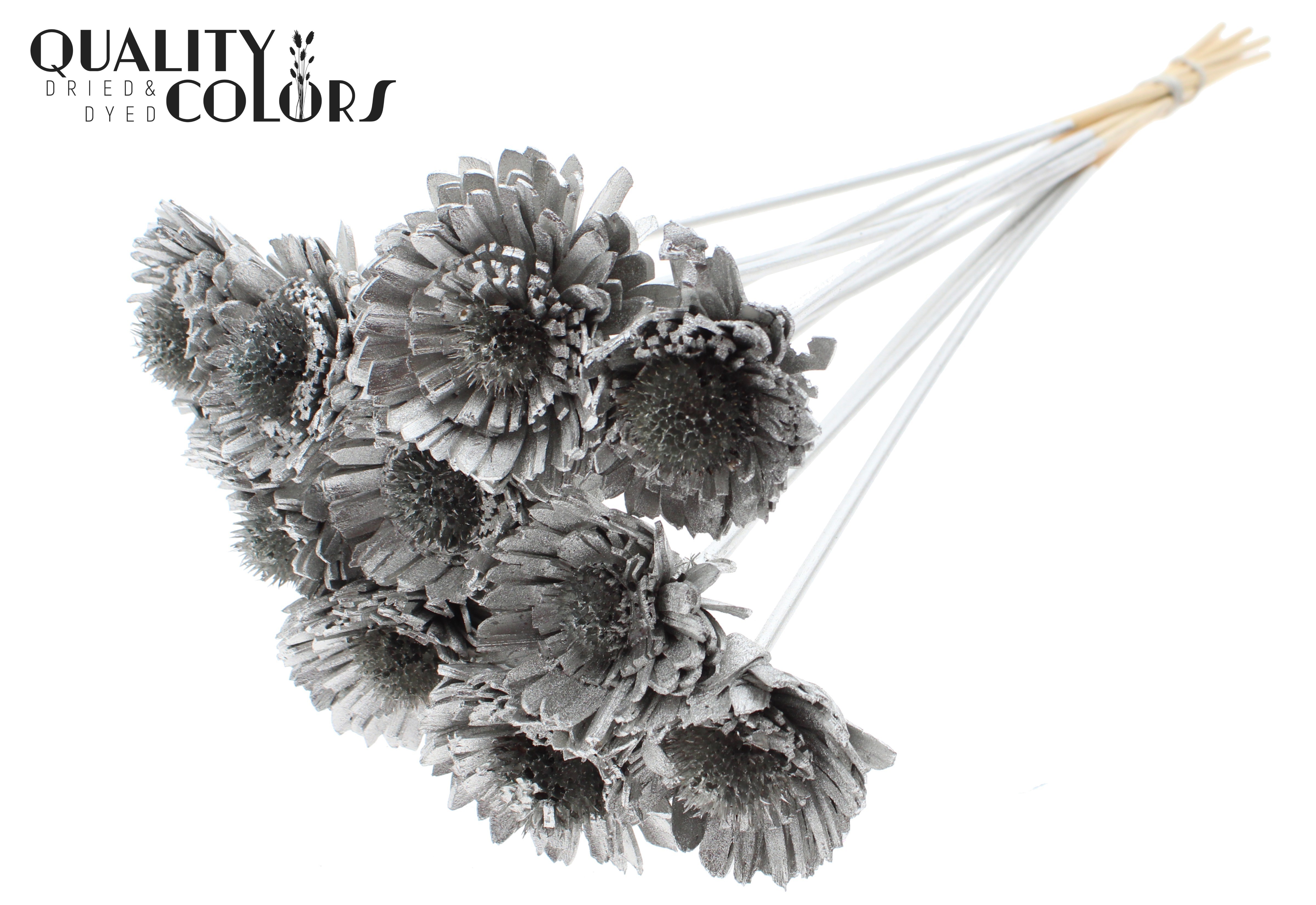 Shola Daisy Sunflower Platinum 50cm